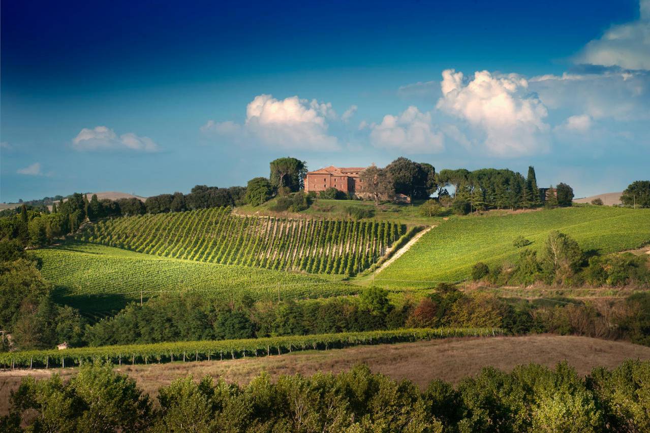 Brunello wine tasting tour in Montalcino with lunch in Tuscan castle