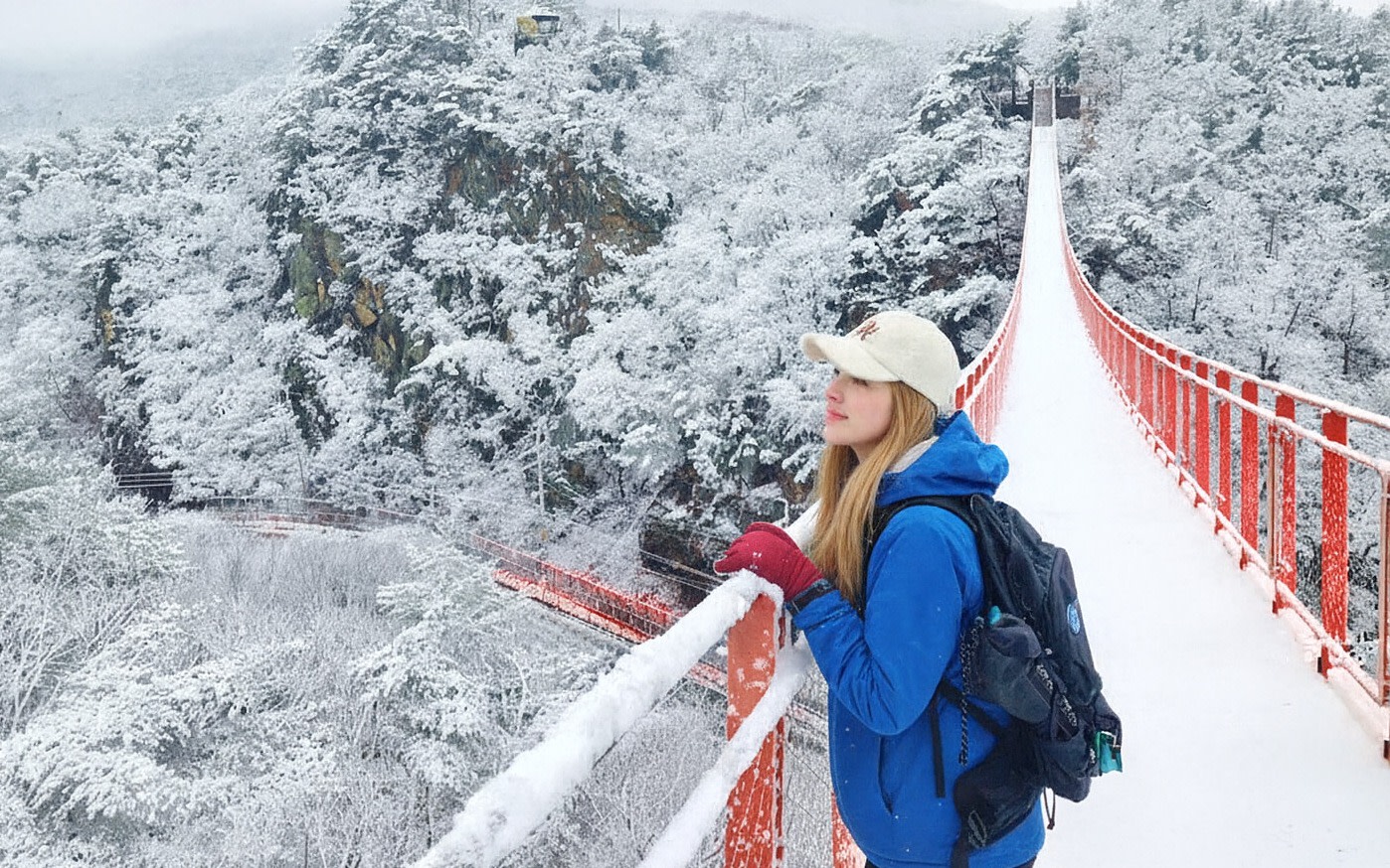 DMZ Adventure: Suspension Bridge, Boat Voyage Day Tour from Seoul