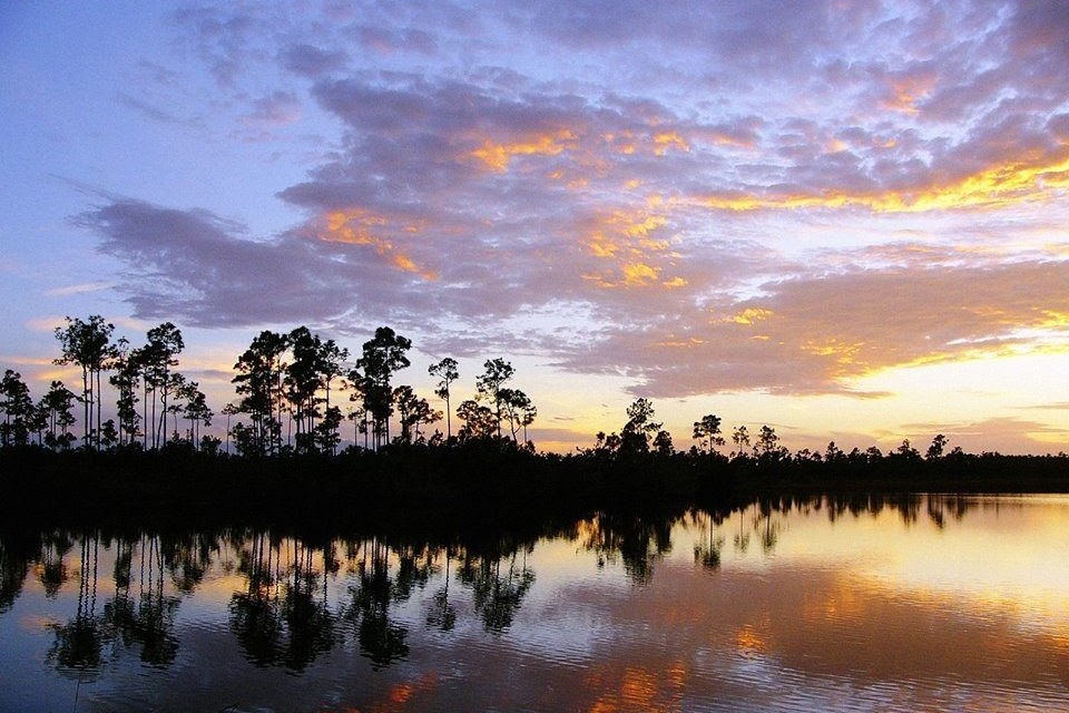 A stunning sunset paints the sky beautifully over the expansive wetlands region