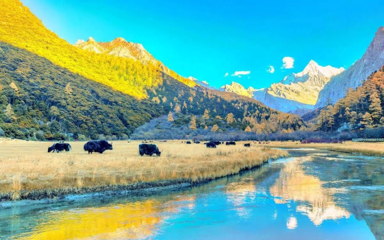 Daocheng Yading Scenic Area