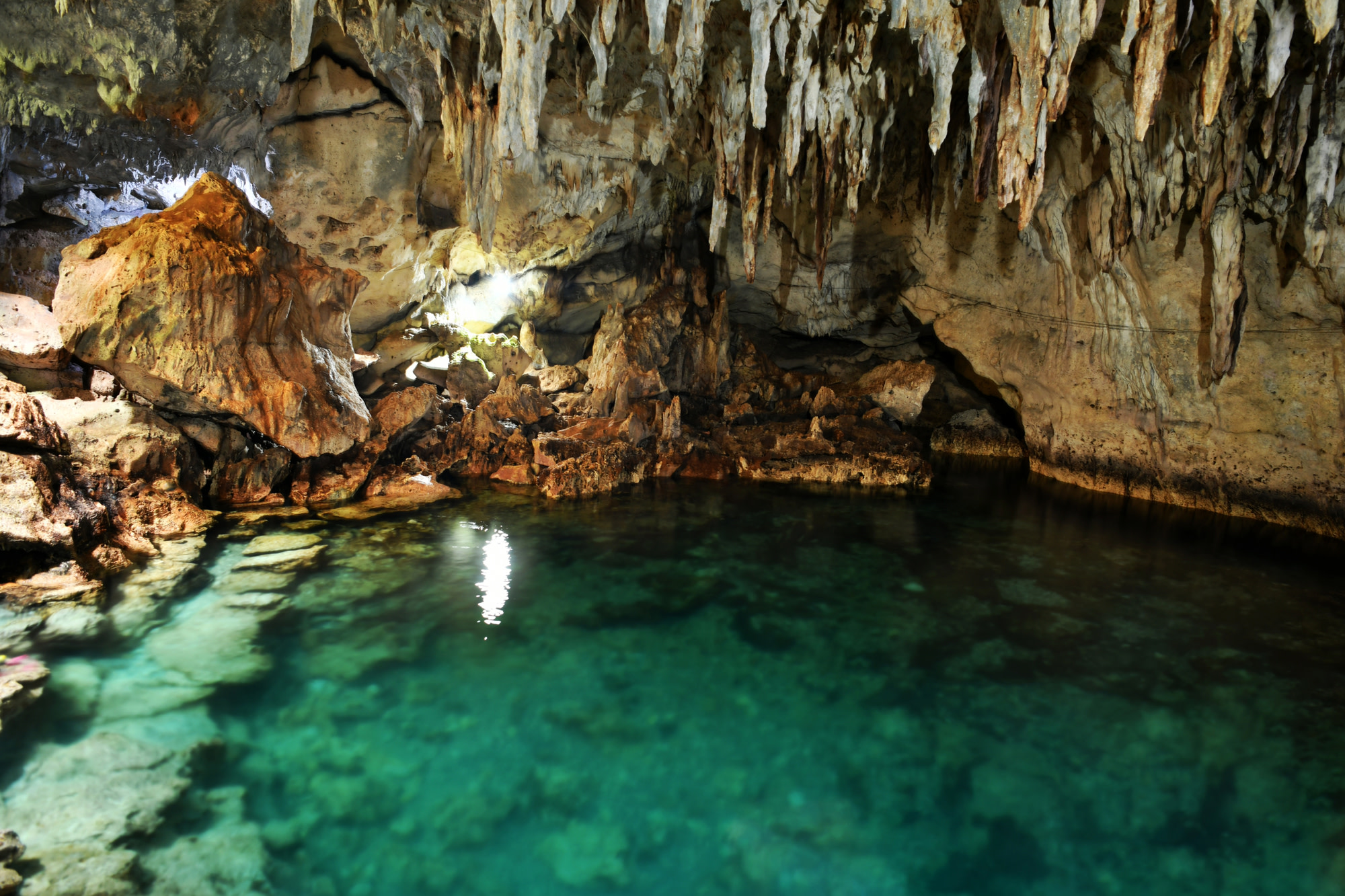 Panglao Island Day Tour