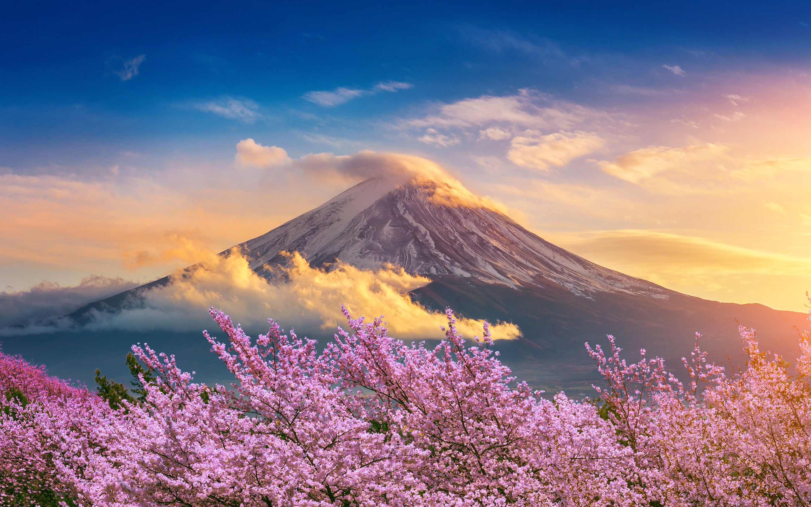 Mt. Fuji Day Tour: 5th Station, Arakurayama Sengen Park and Matcha