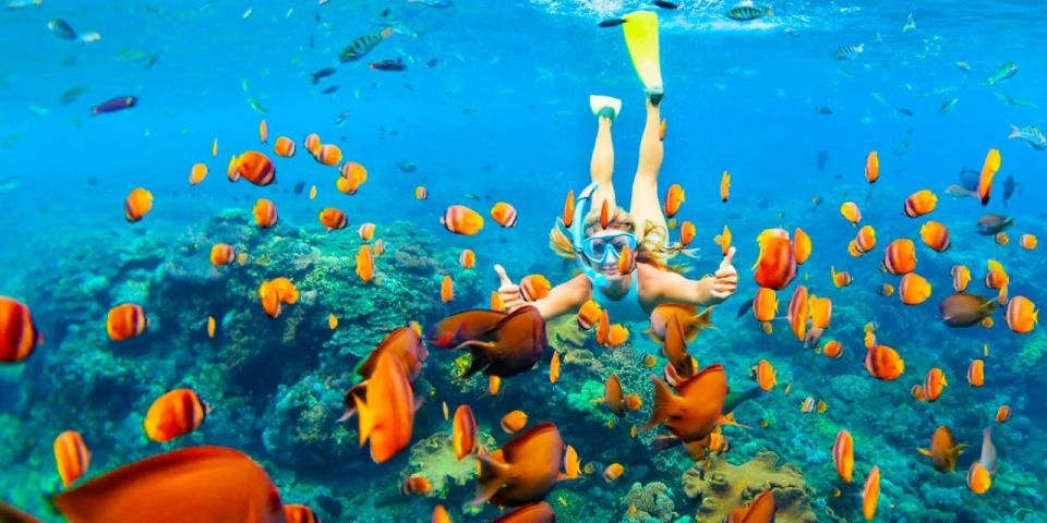 馬卡迪灣浮潛游艇之旅（含水上運動 & 午餐）