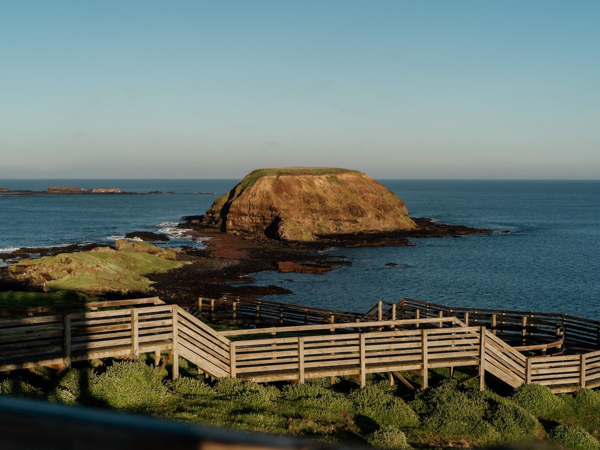 Phillip Island Wildlife Cruise and Penguins Tour from Melbourne