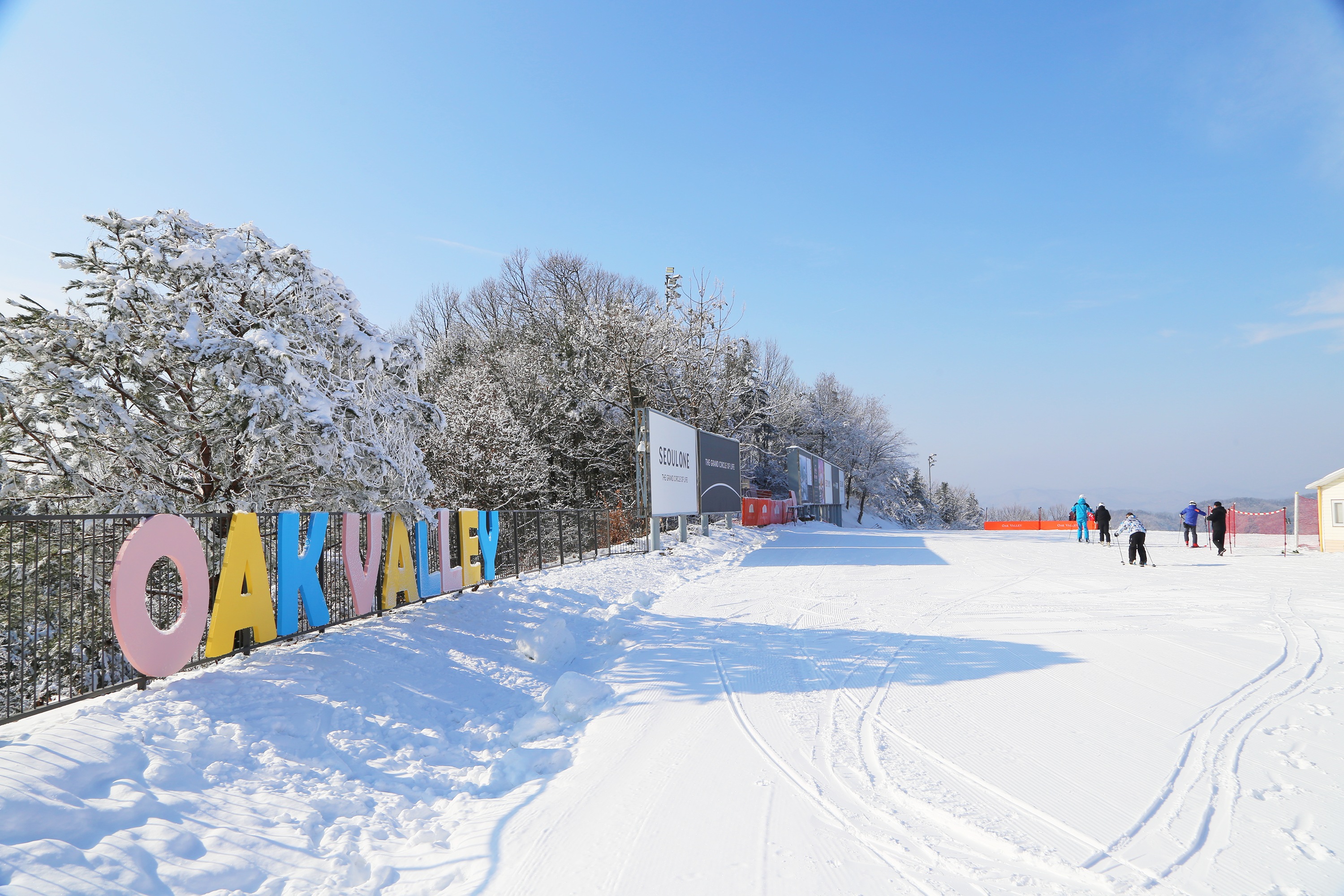 在修整過的雙板滑雪道旁,色彩繽紛的橡樹谷字母牌熠熠生輝——陽光明媚的原州坡地,盡享首爾滑雪一日遊的樂趣。 在修整過的雙板滑雪道旁,色彩繽紛的橡樹谷字母牌熠熠生輝——陽光明媚的原州坡地,盡享首爾滑雪一日遊的樂趣。