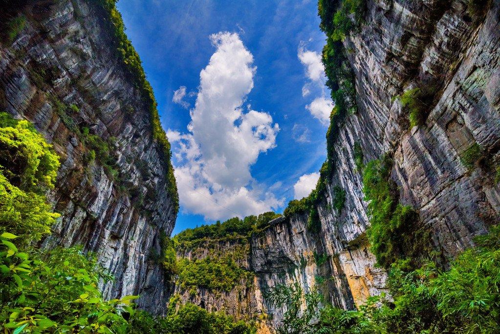 Chongqing Wulong Tiansheng Three Bridges + Longshuixia Ground Crack/Fairy Mountain Forest Park One-Day Tour (Karst Geological Wonders, Mountain Grassland Scenery, Multiple Group Types Optional)