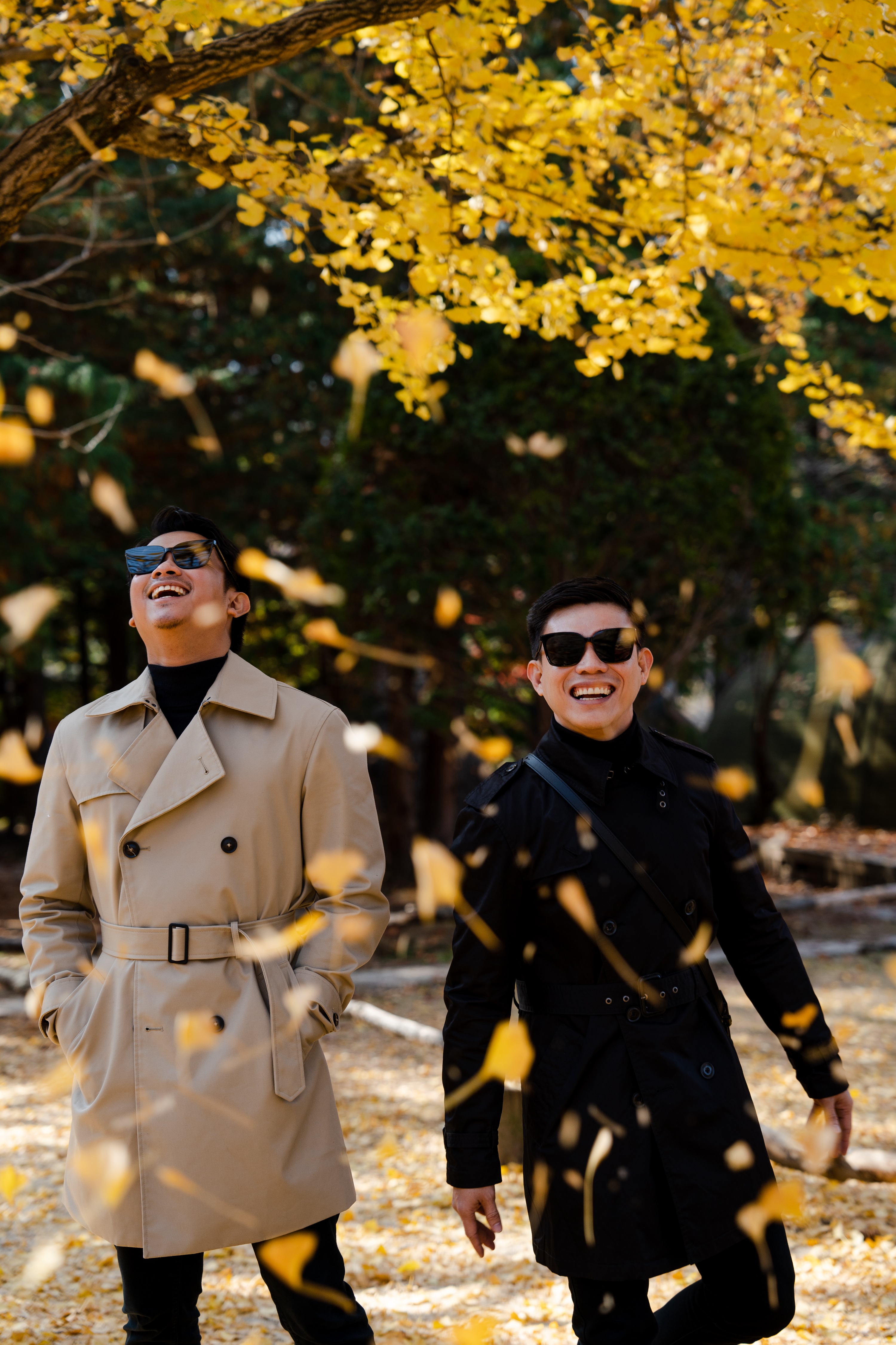 Nami Island Professional Photoshoot (Proposal, Group, Pre-wedding)