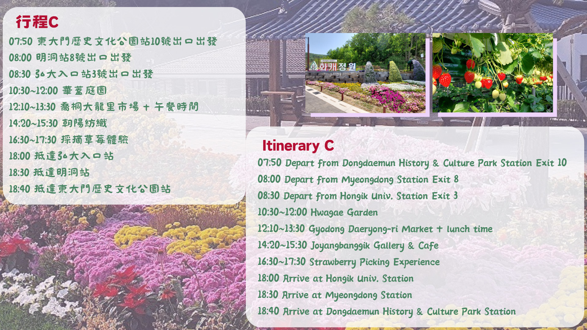 仁川春季限定之旅（首爾出發）