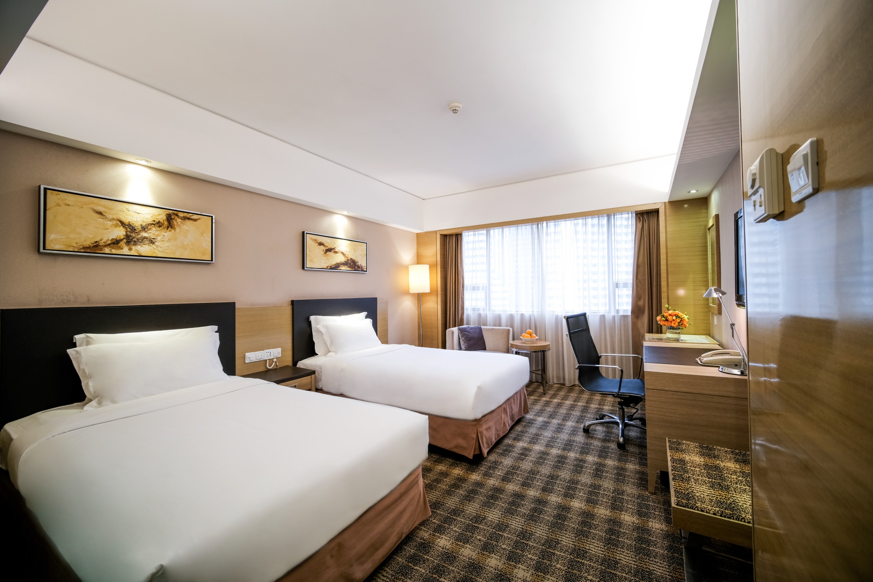 Deluxe Twin Room