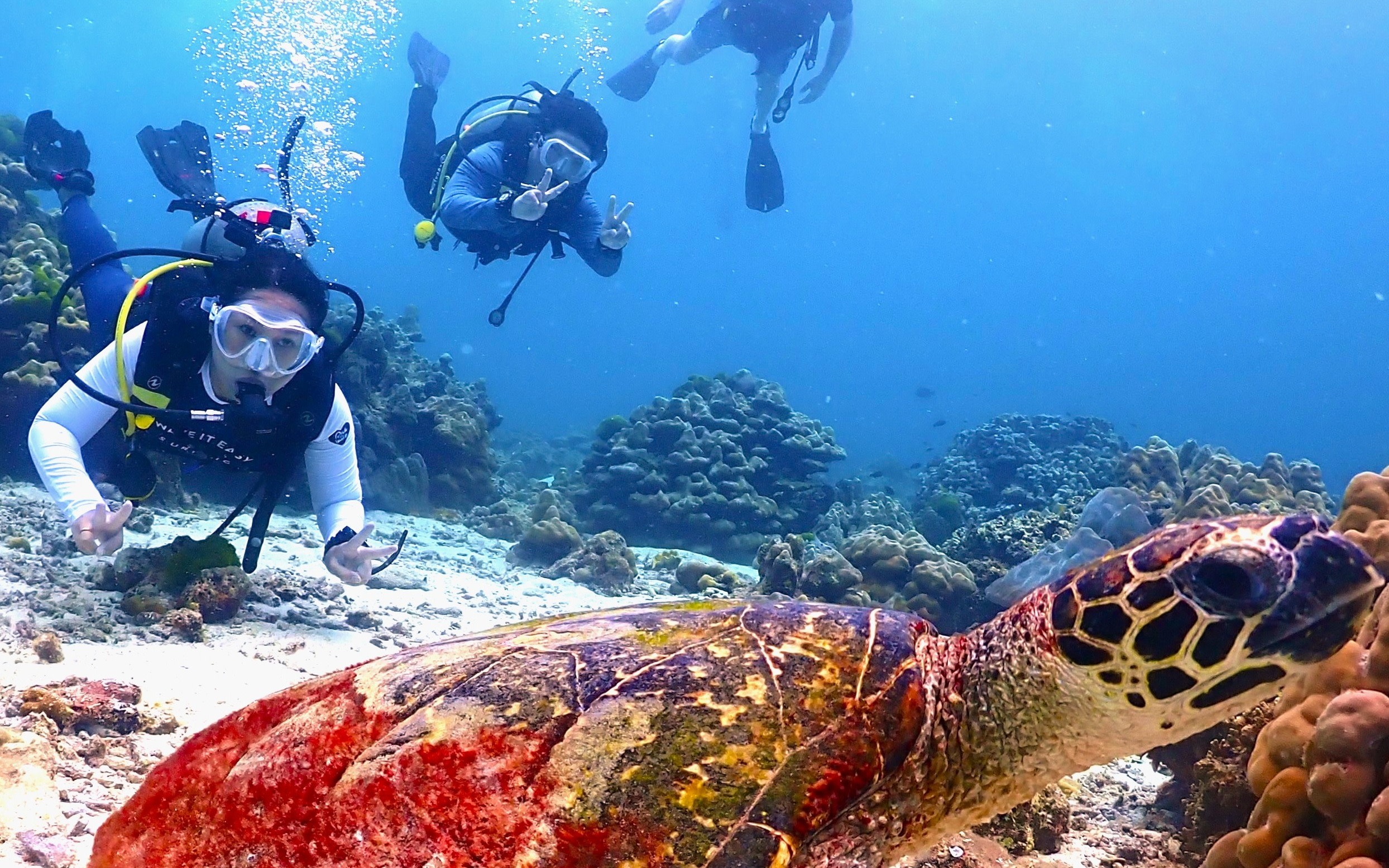Phuket Dive Trip Racha Island(s) For All-level in Phuket