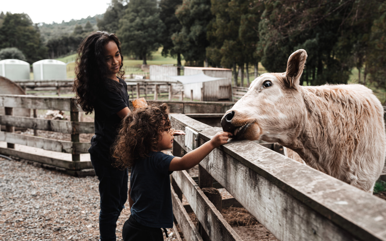 盡情享受互動式農場體驗、飽覽鄉村美景，並探索西奧克蘭的迷人景點。