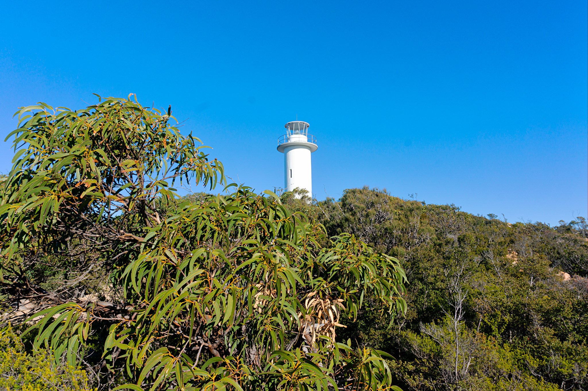 酒杯灣（Wineglass Bay）& 菲欣納（Freycinet）一日遊（霍巴特出發）