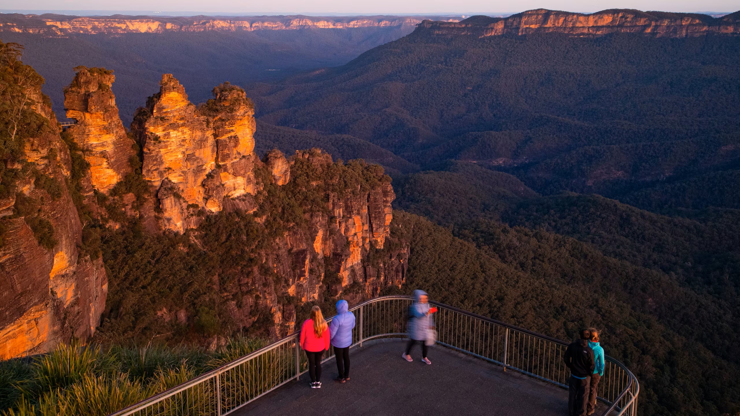 Australian Wildlife, Blue Mountains & Scenic World Private Tour