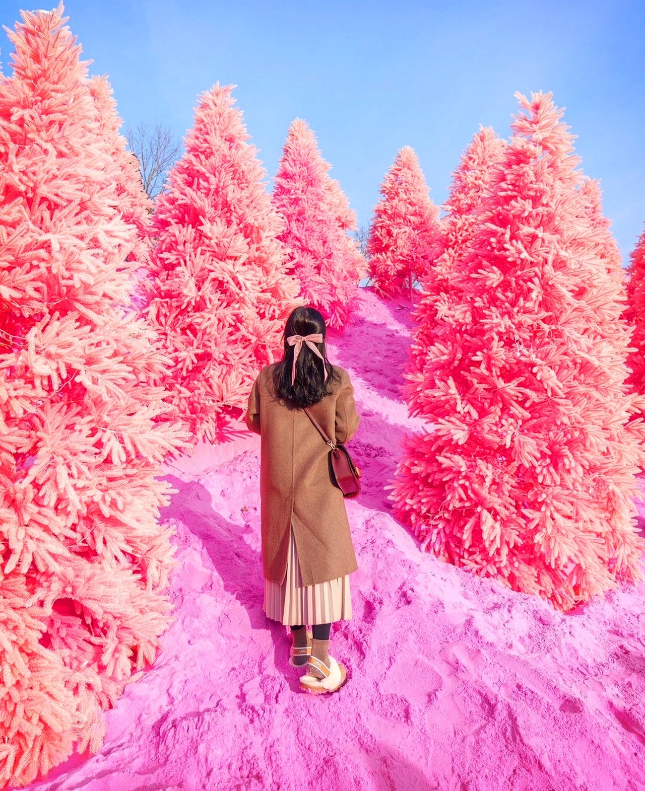 Romantic Winter Wonder Land Tour from Seoul