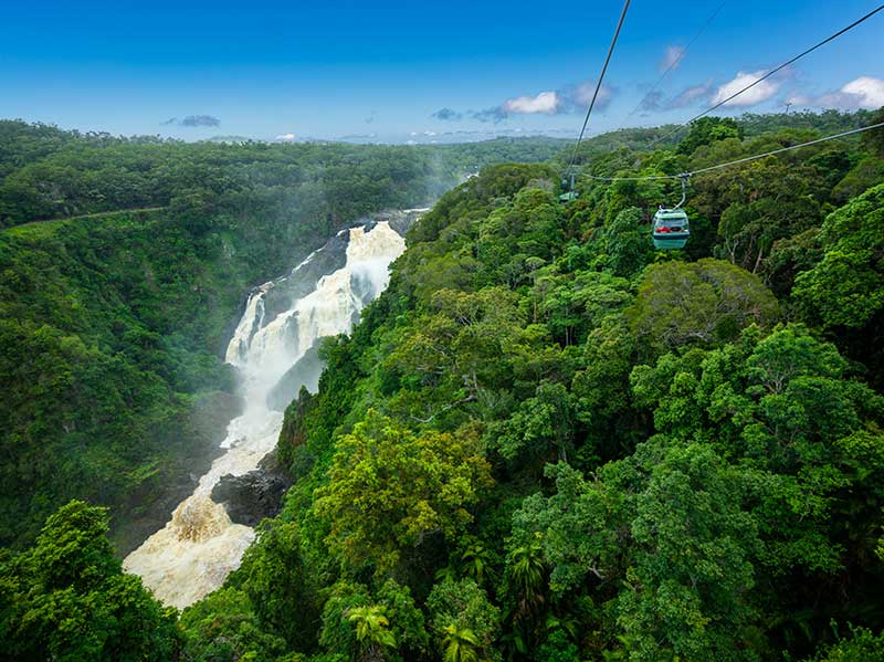 Kuranda Deluxe with Skyrail from Cairns