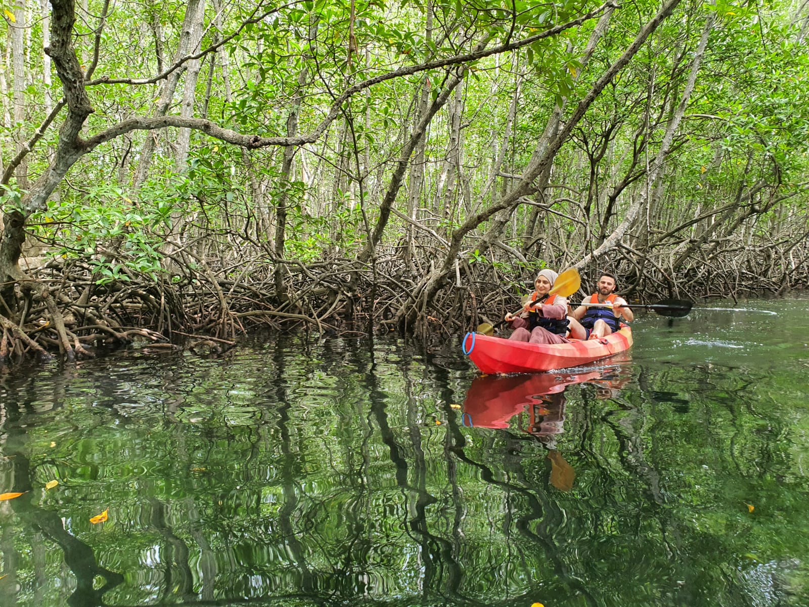Image 4