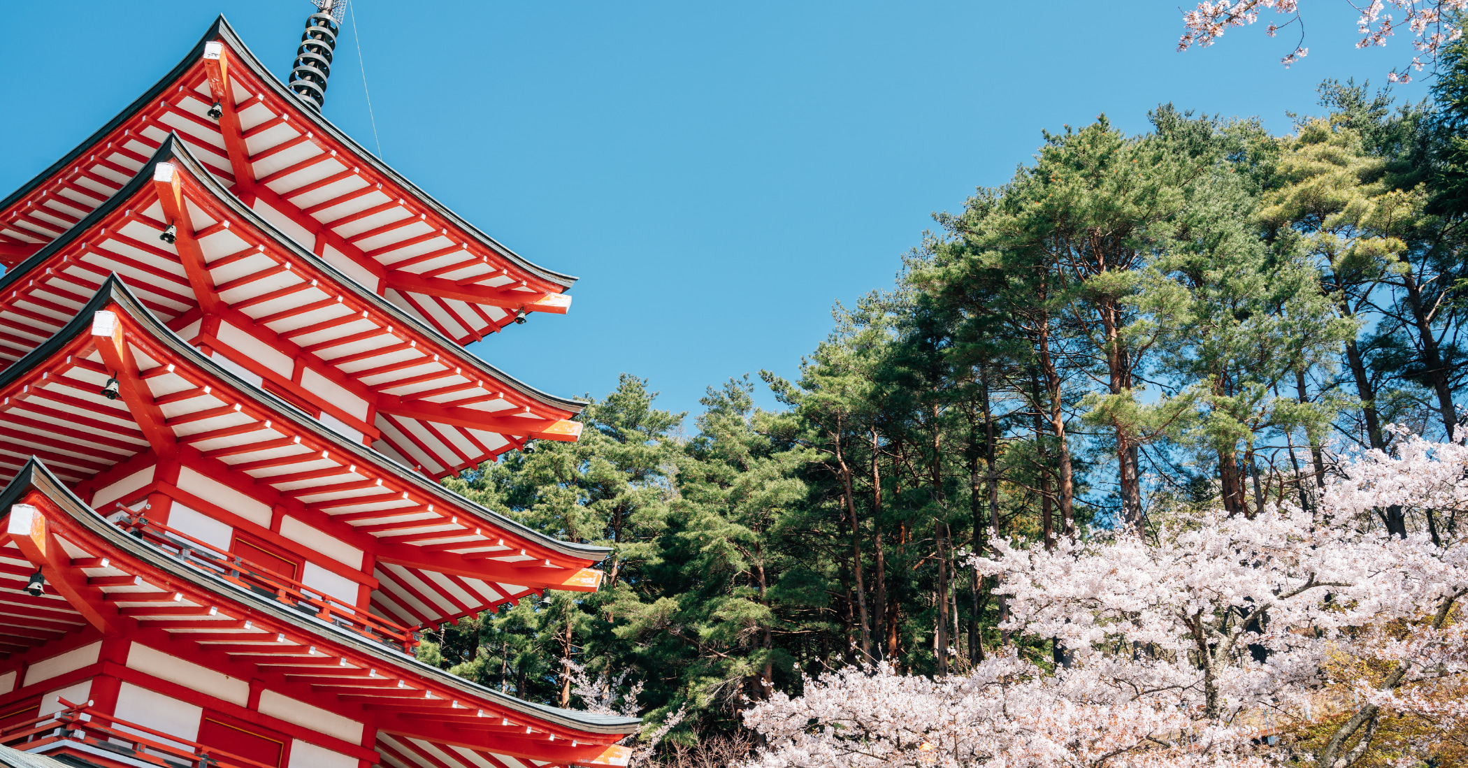 富士山私人定製一日遊（東京出發）