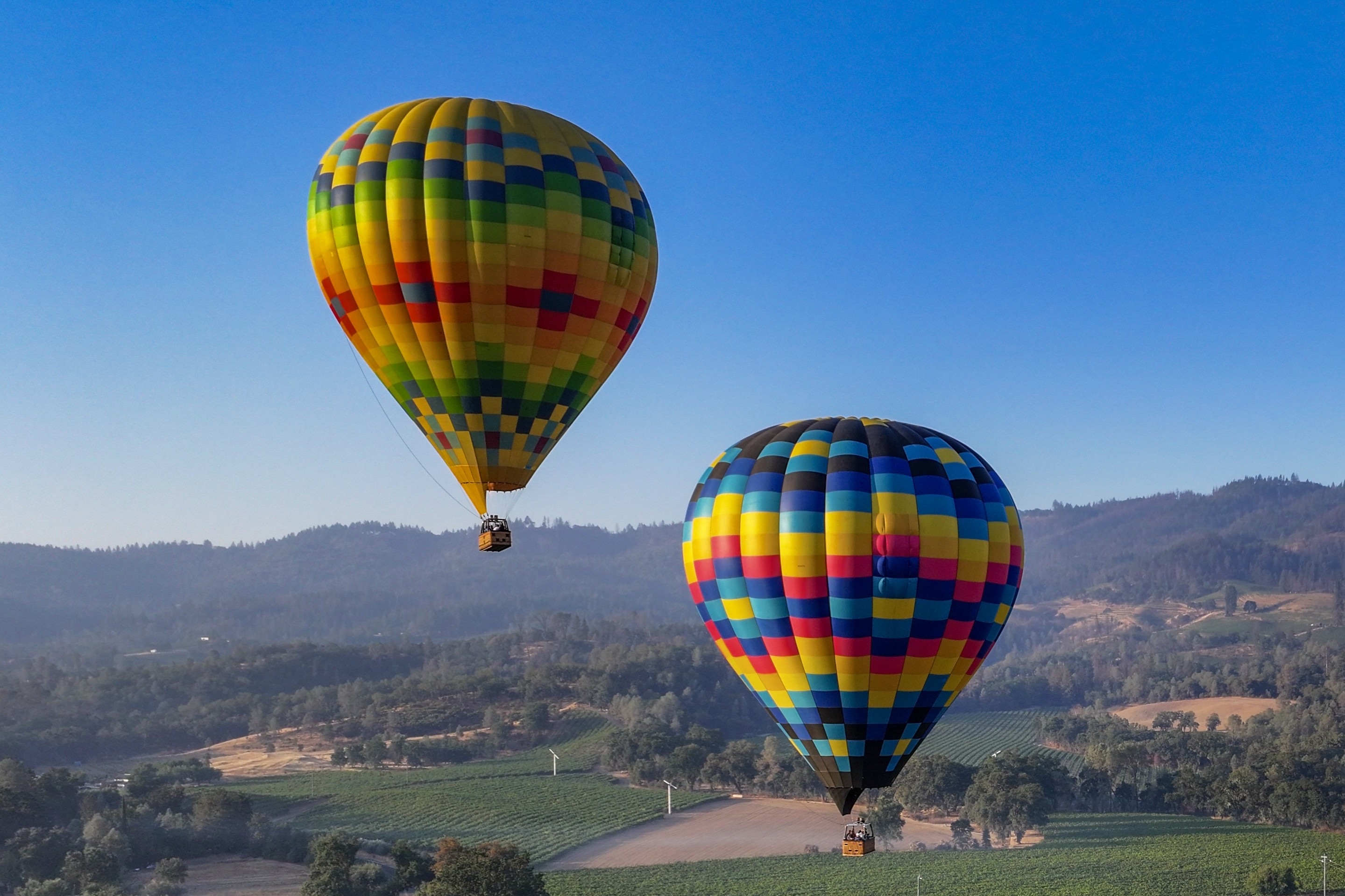 Premier Balloon Experience in Napa Valley