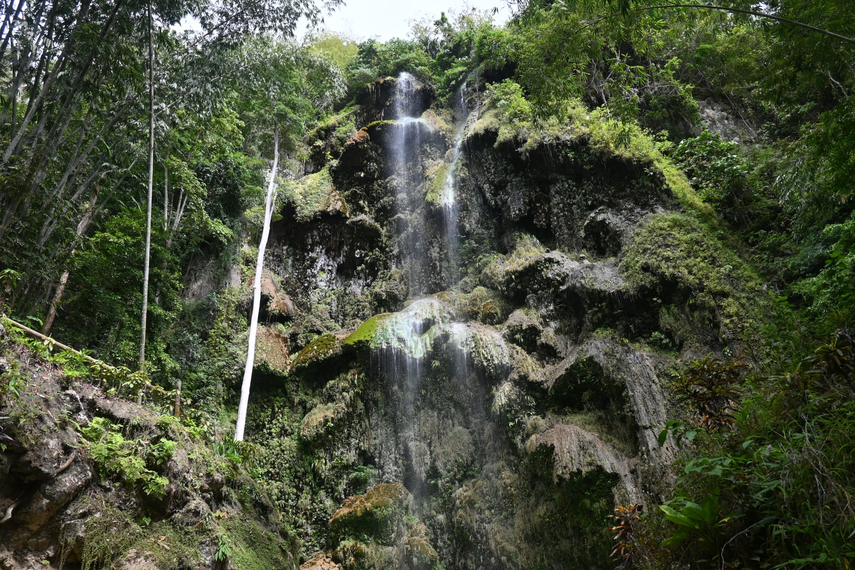 驚嘆於 Tumalog 瀑布空靈、如蕾絲般的瀑布,水霧繚繞在古老的青苔懸崖上。 驚嘆於 Tumalog 瀑布空靈、如蕾絲般的瀑布,水霧繚繞在古老的青苔懸崖上。