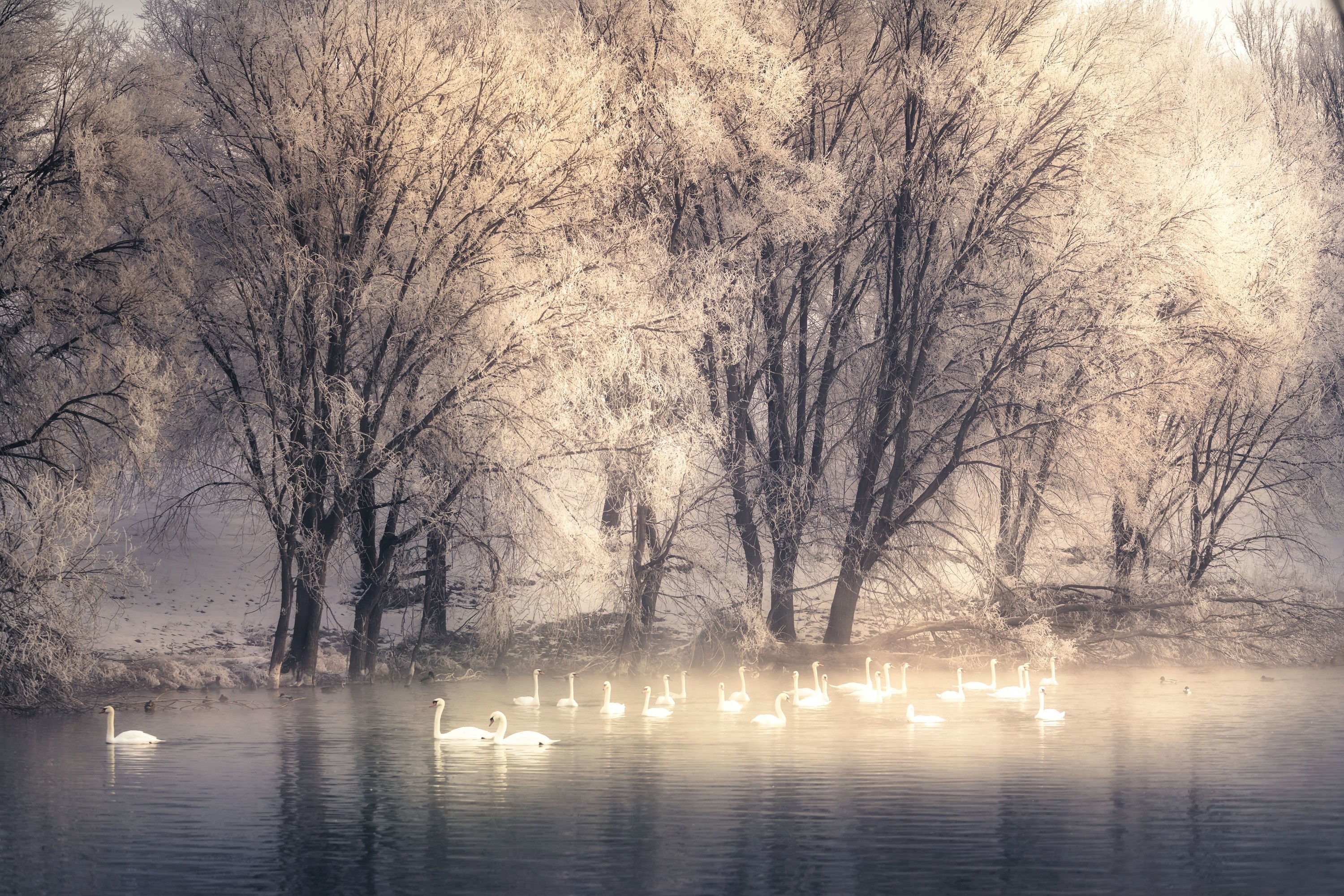 Nalati Winter Tour | Xinjiang Northern Xinjiang Yili 8 Days