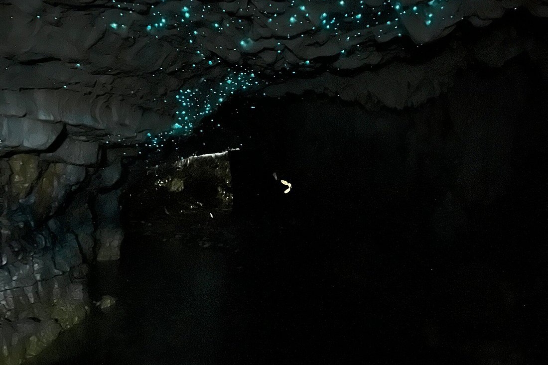 參加此行程,參觀兩個獨特的洞穴,並享受無與倫比的螢火蟲乘船之旅 參加此行程,參觀兩個獨特的洞穴,並享受無與倫比的螢火蟲乘船之旅