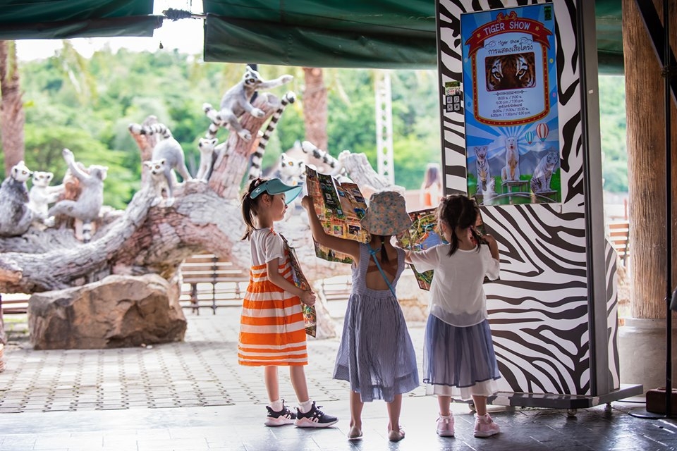 清邁夜間動物園 泰國居民門票