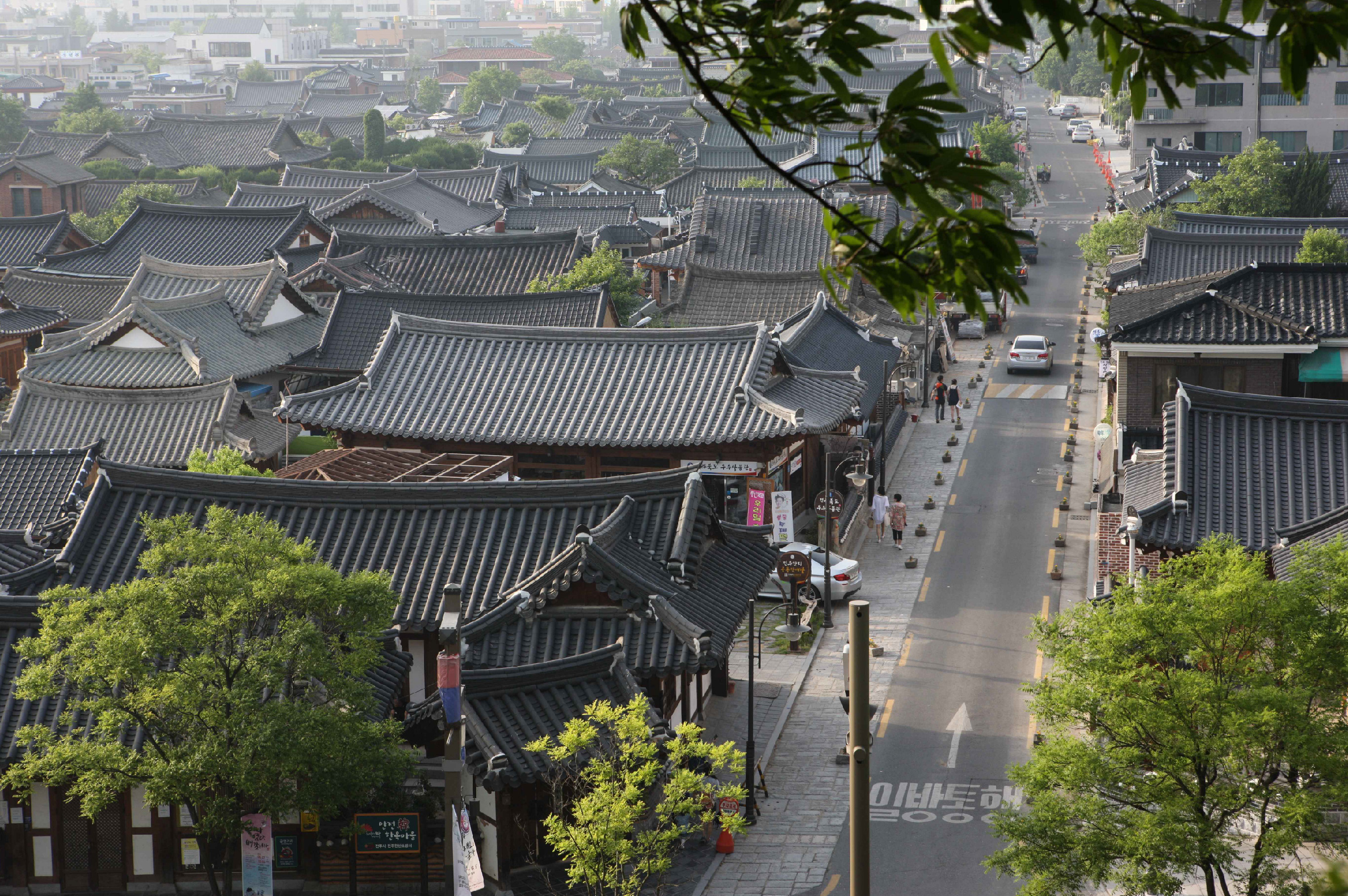全州韓屋村＆季節性熱門景點一日遊