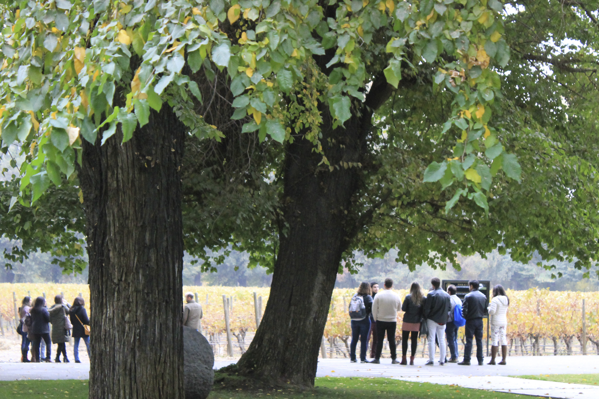 Bahá'i Temple and Cousiño Macul Vineyard