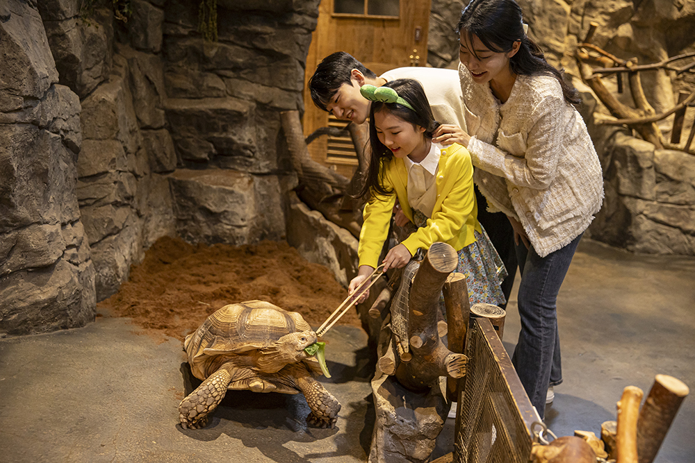 首爾Zoolung Zoolung室內動物主題樂園門票