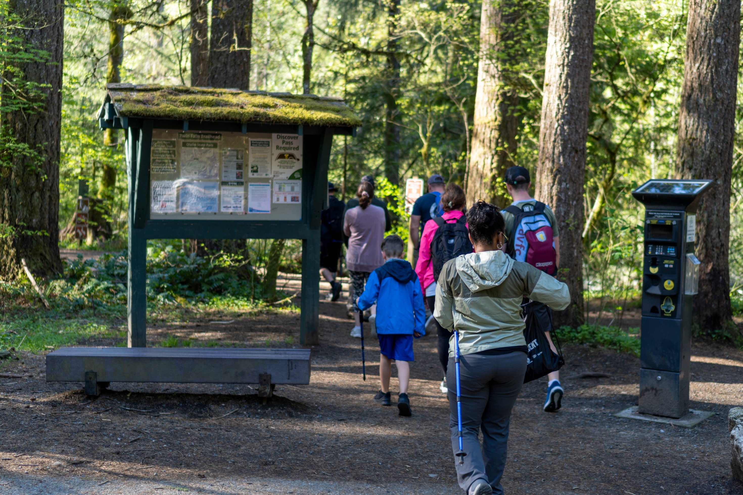 Beginning an adventurous hike at the trailhead, surrounded by towering forest trees