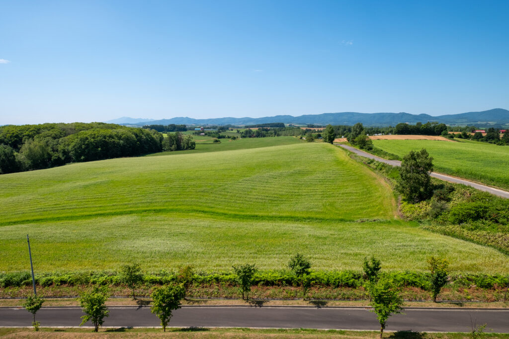 拼布般的農田色彩隨季節變換。