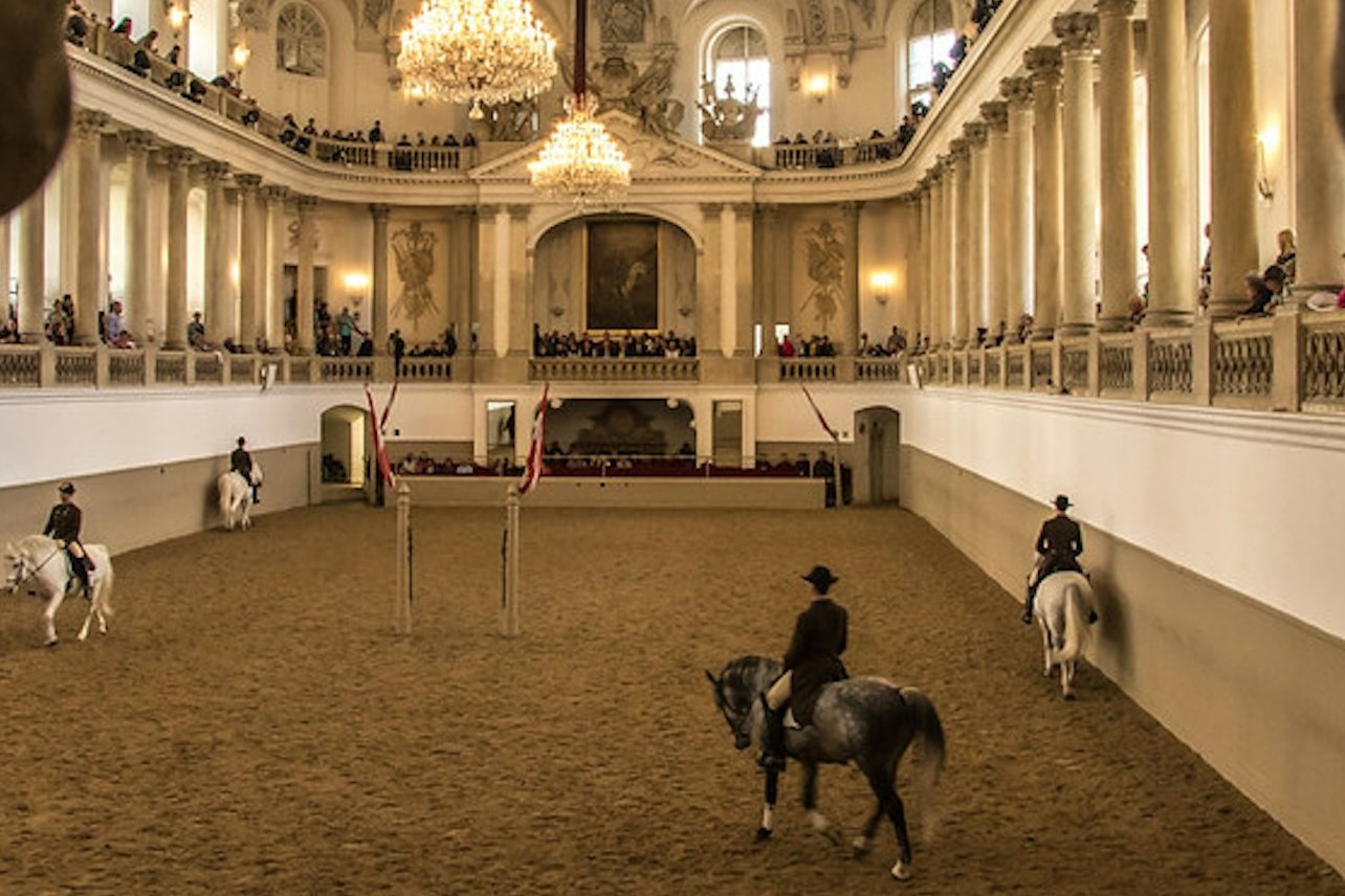 Spanish Riding School horse training session in Vienna