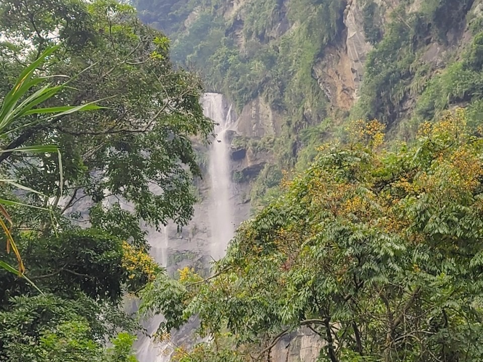 雲林: 大草嶺親山包車一日遊