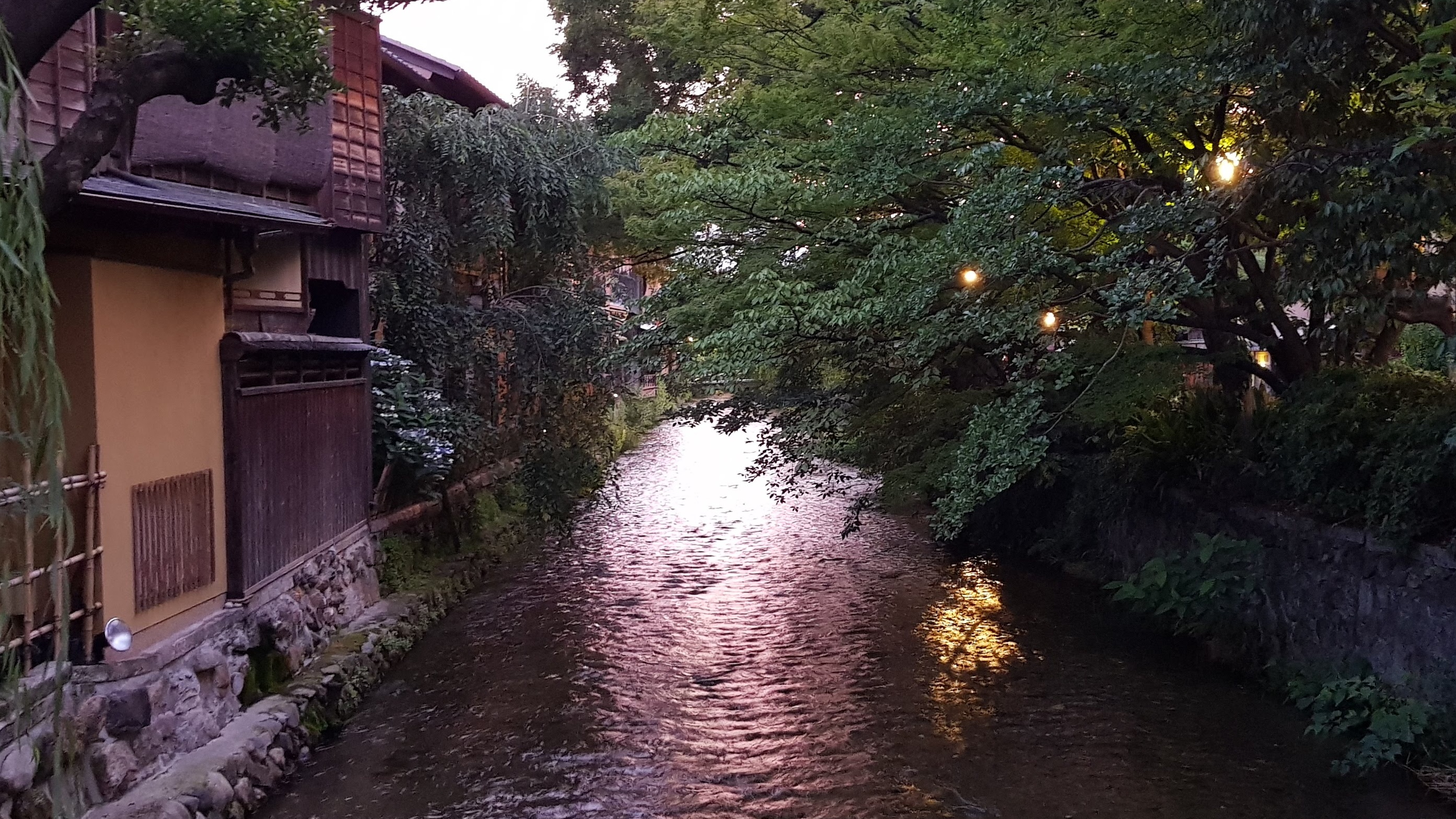 Old Kyoto Nighttime All-Inclusive Local Food Tour