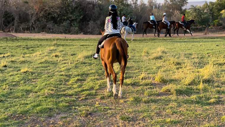 Nature and horse riding experience in Riyadh