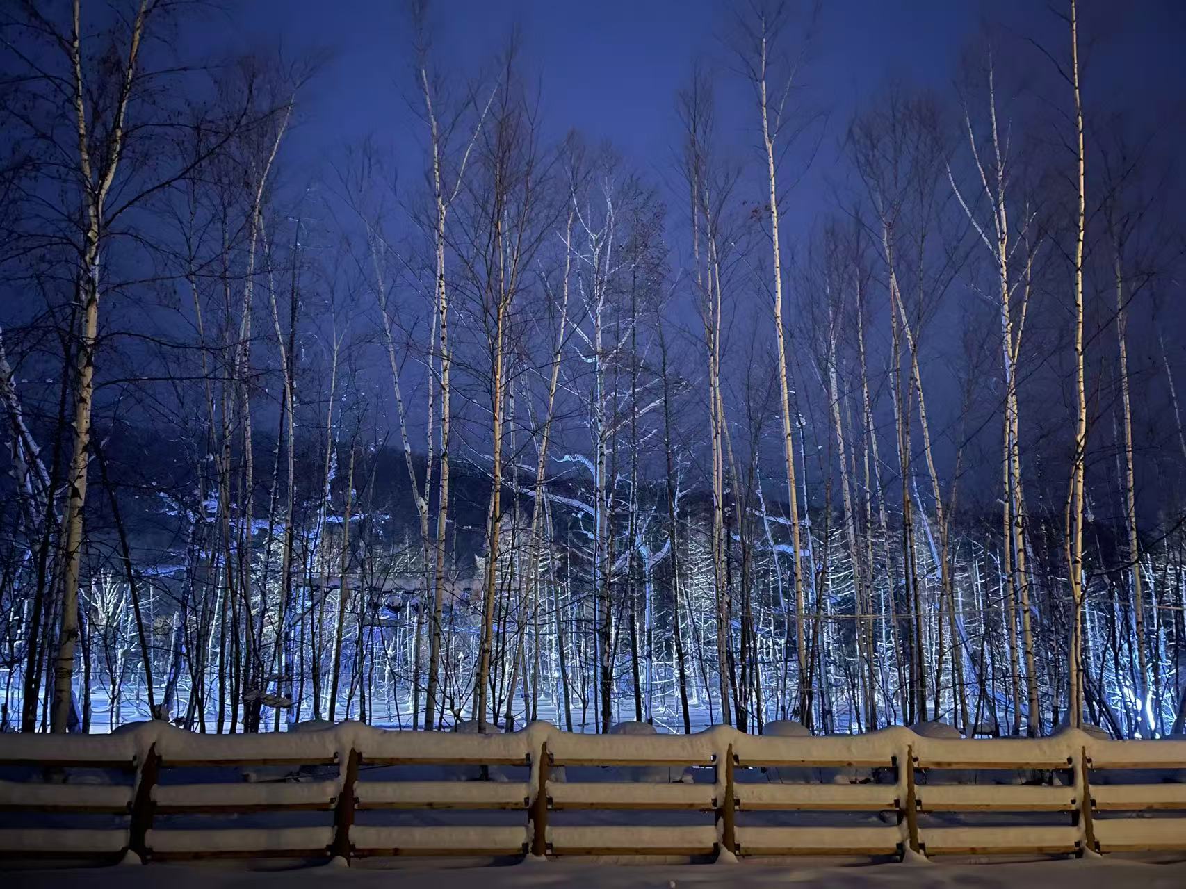站在護欄邊慢看，顏色會隨角度細微變化。