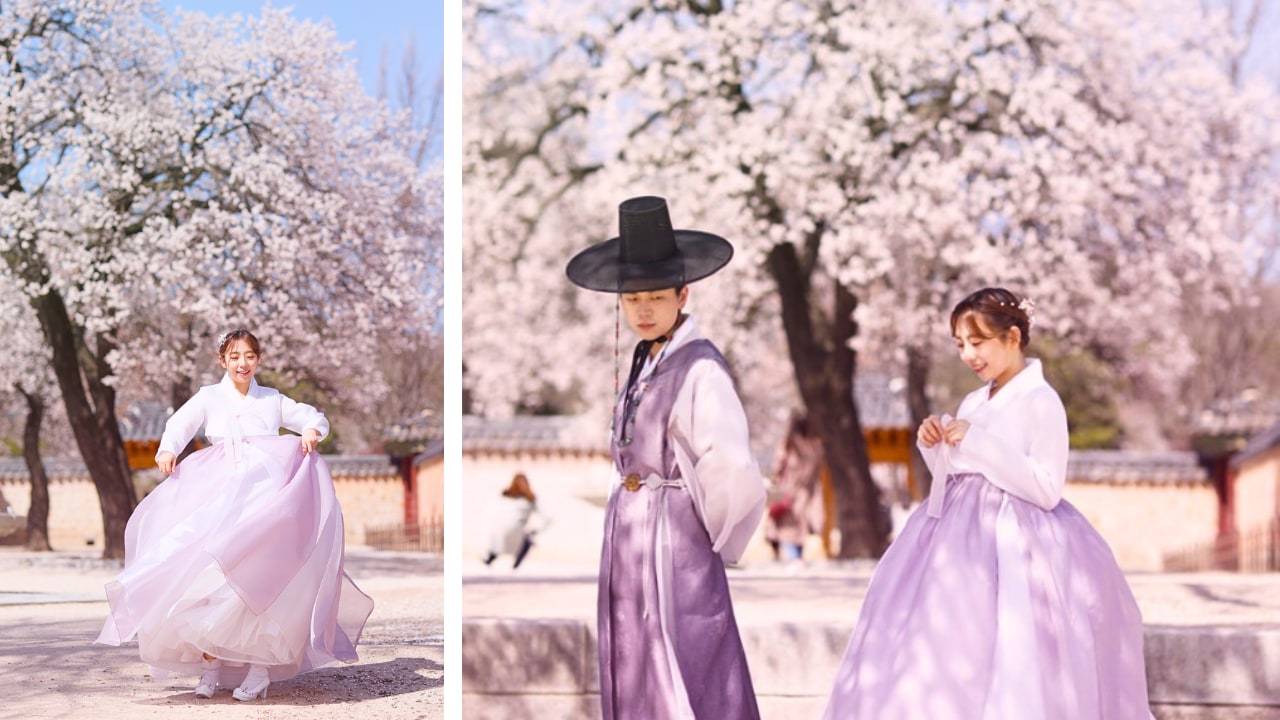 盛放的櫻花與穿上韓服的你一起共舞，感受春日浪漫的舞曲。