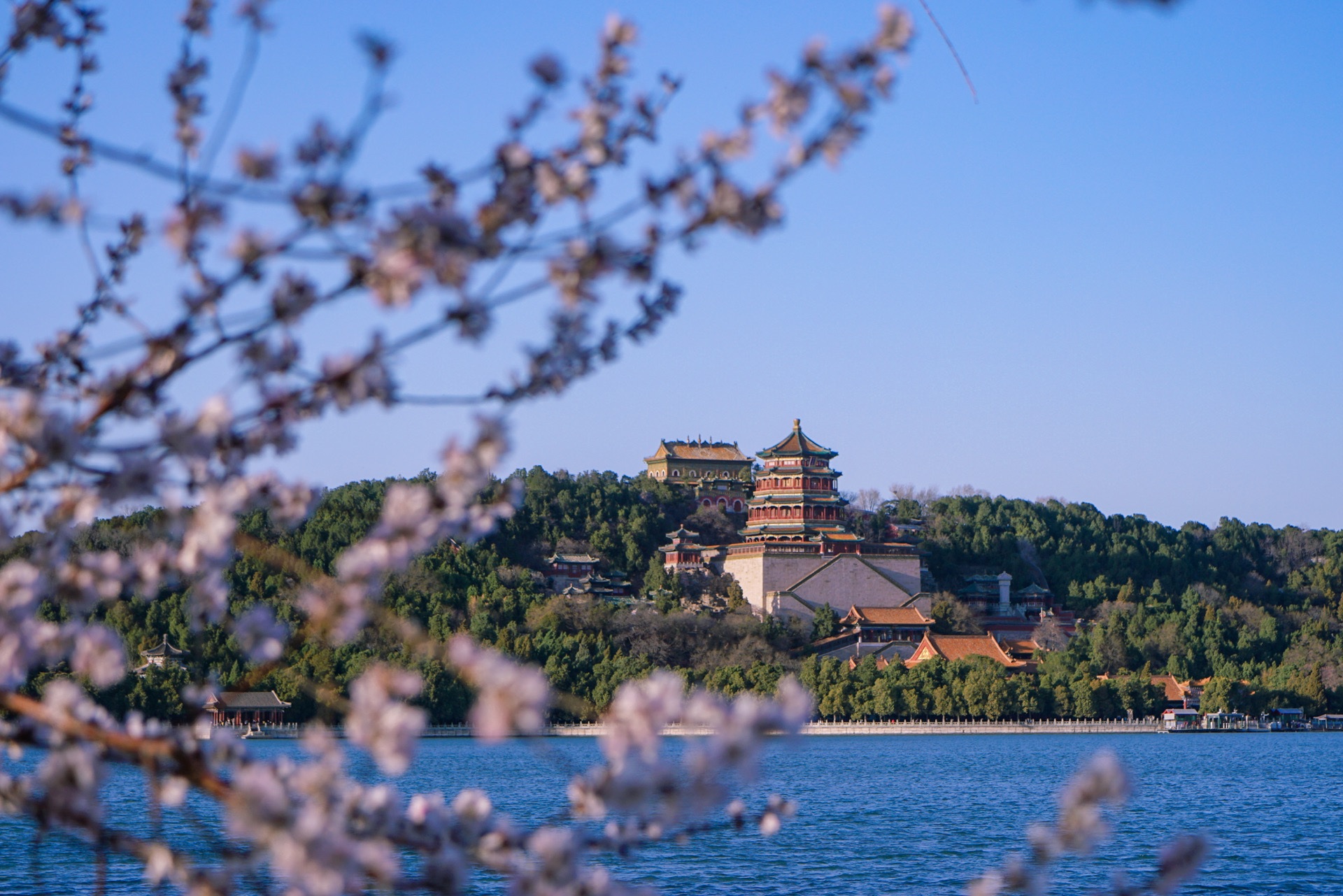 頤和園佛香閣矗立在萬壽山巔，紅牆黃瓦在藍天映襯下格外醒目，前景花枝輕垂，昆明湖水波盪漾，盡顯皇家園林的春日盛景