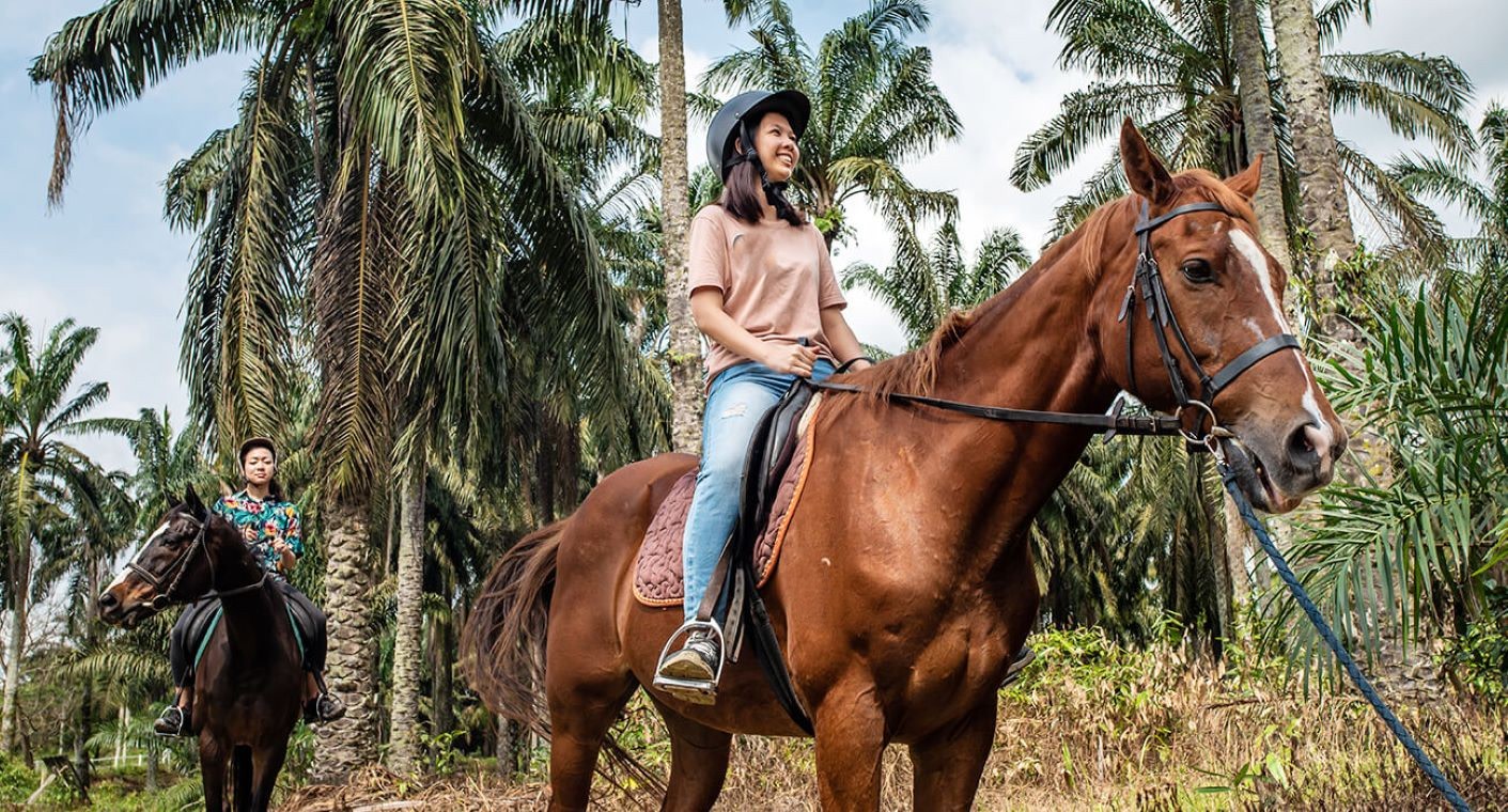 Scenic Plantation Horse Riding Adventure 