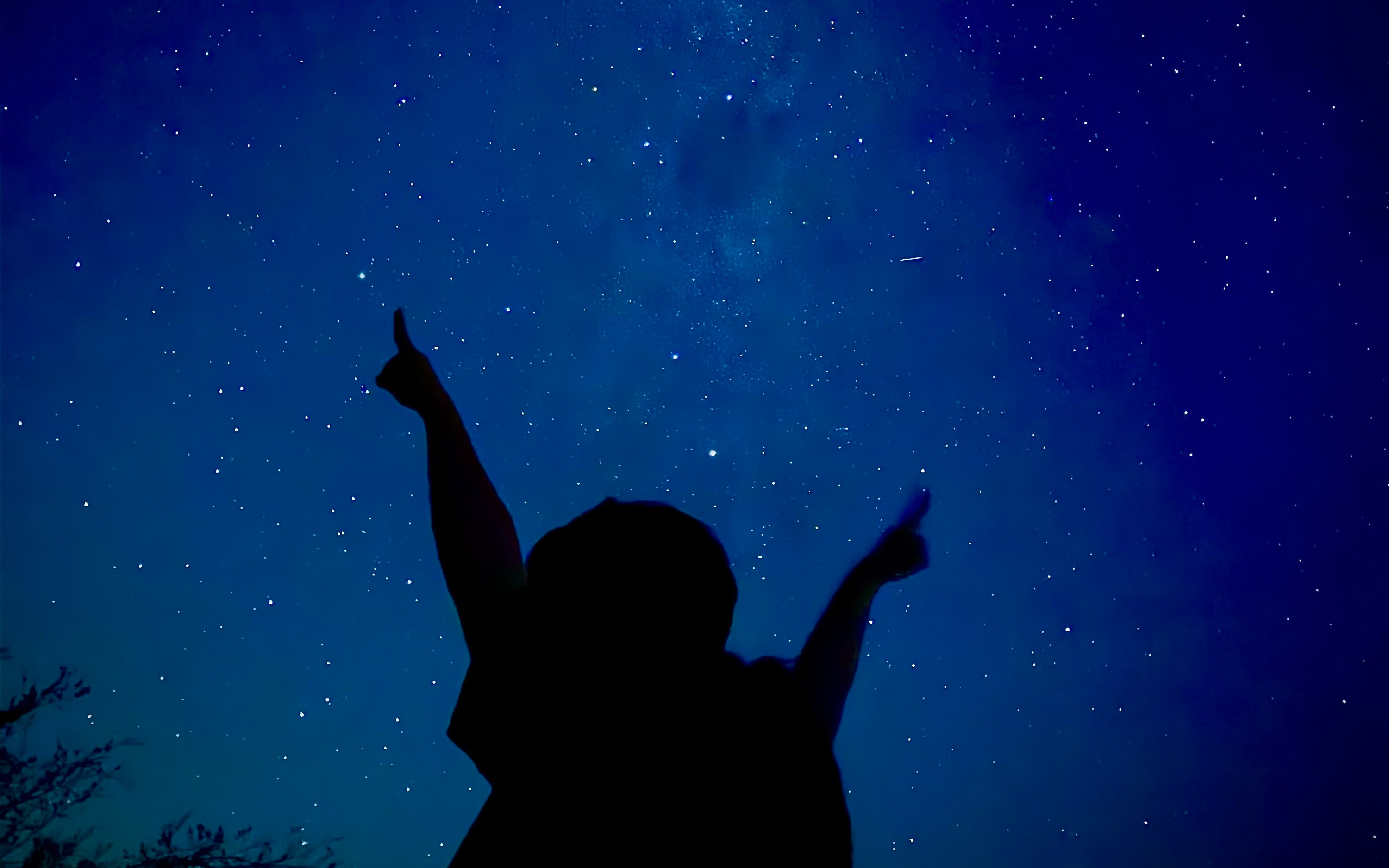 Blue Mountains Sunset & Stargazing Private Tour