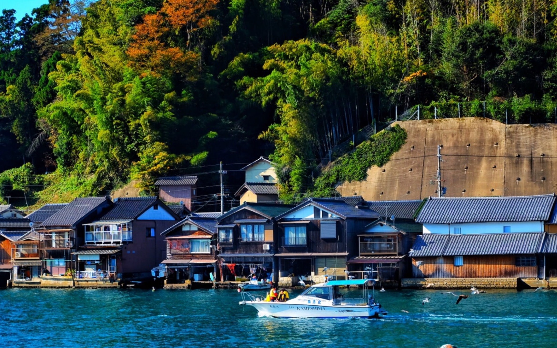 [Kyoto Sea and Sky Secret Realm Day Trip] Amanohashidate & Ine Boathouse Day Trip | Departure from Osaka/Kyoto