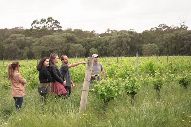 Embark on an unforgettable guided tour at All About Margaret River