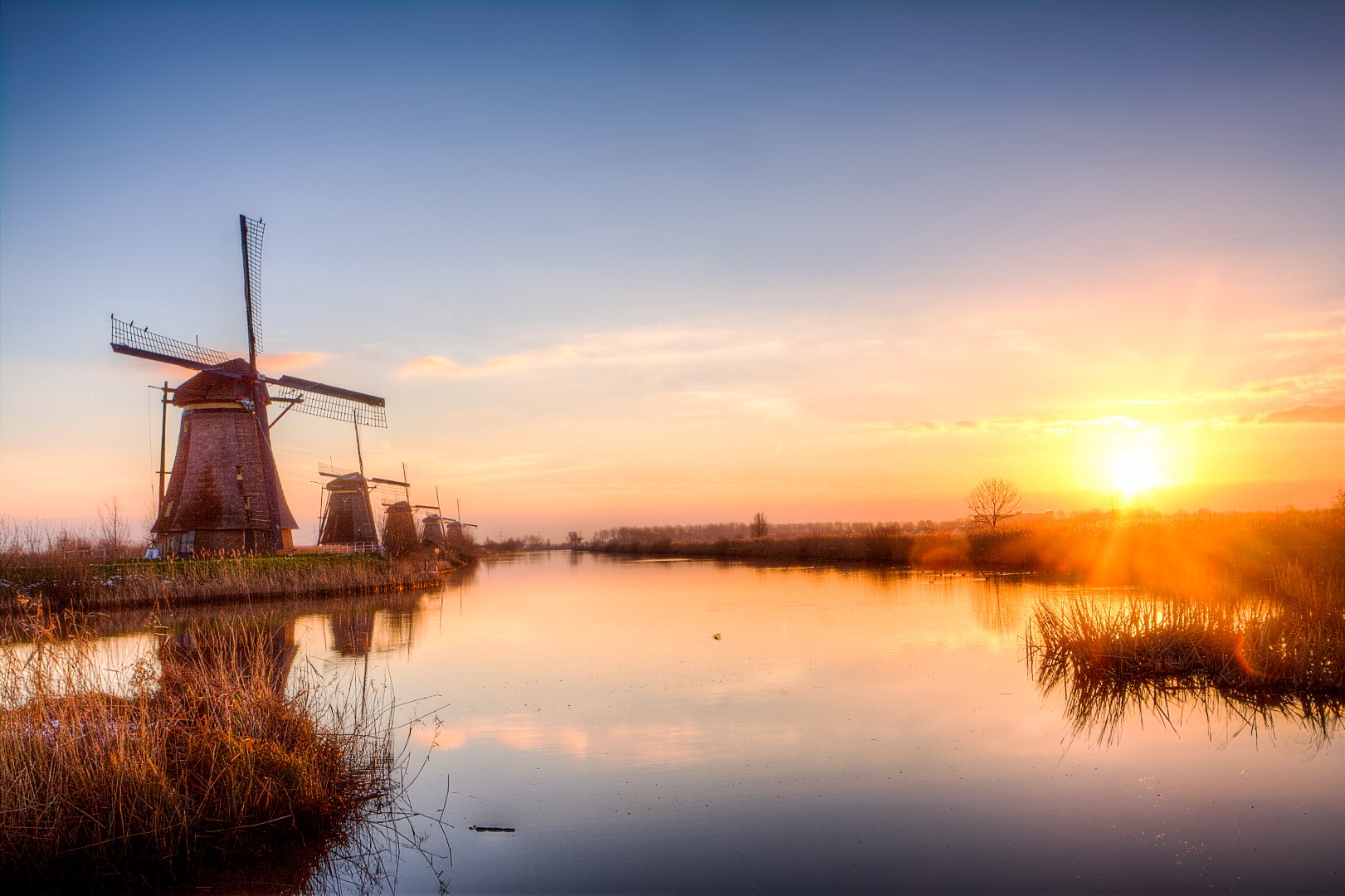 Kinderdijk, The Hague & Mauritshuis Museum Small-Group Day Tour from Amsterdam