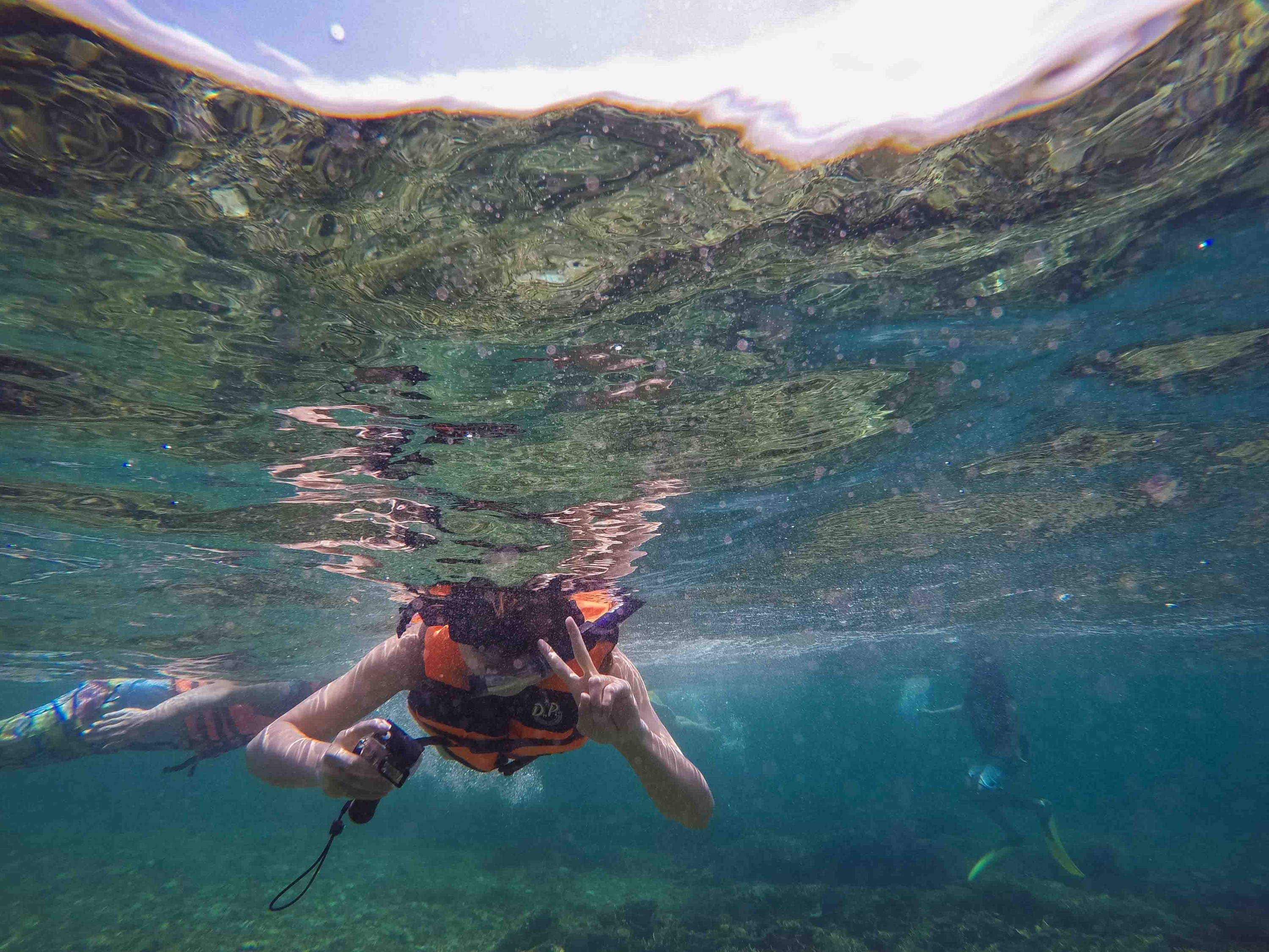 Private Mengalum Island Snorkeling with Mangrove Firefly Cruise