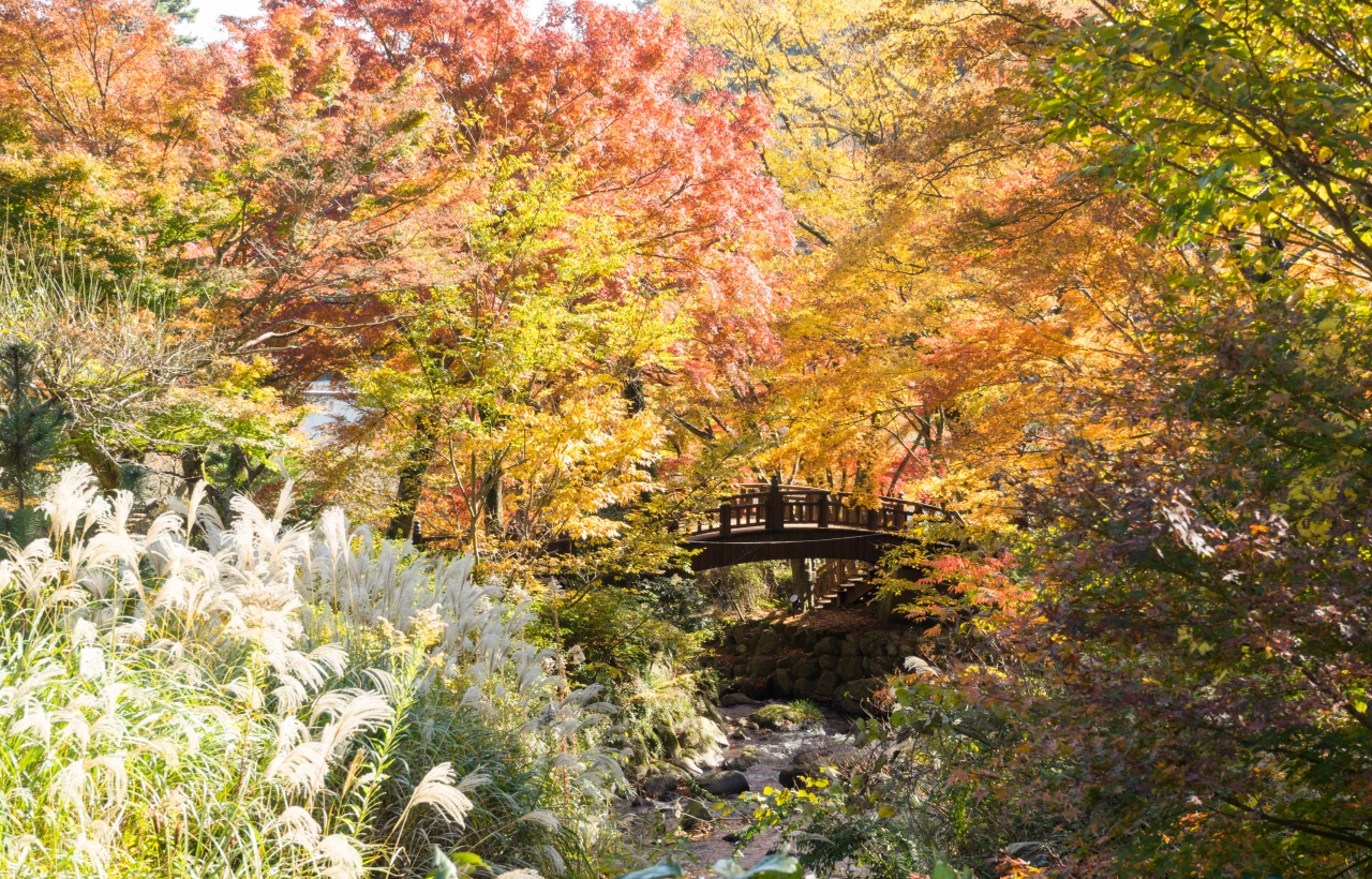 修善寺虹之鄉是一處約50萬平方公尺的自然公園，分為西洋園區和日式園區兩部分