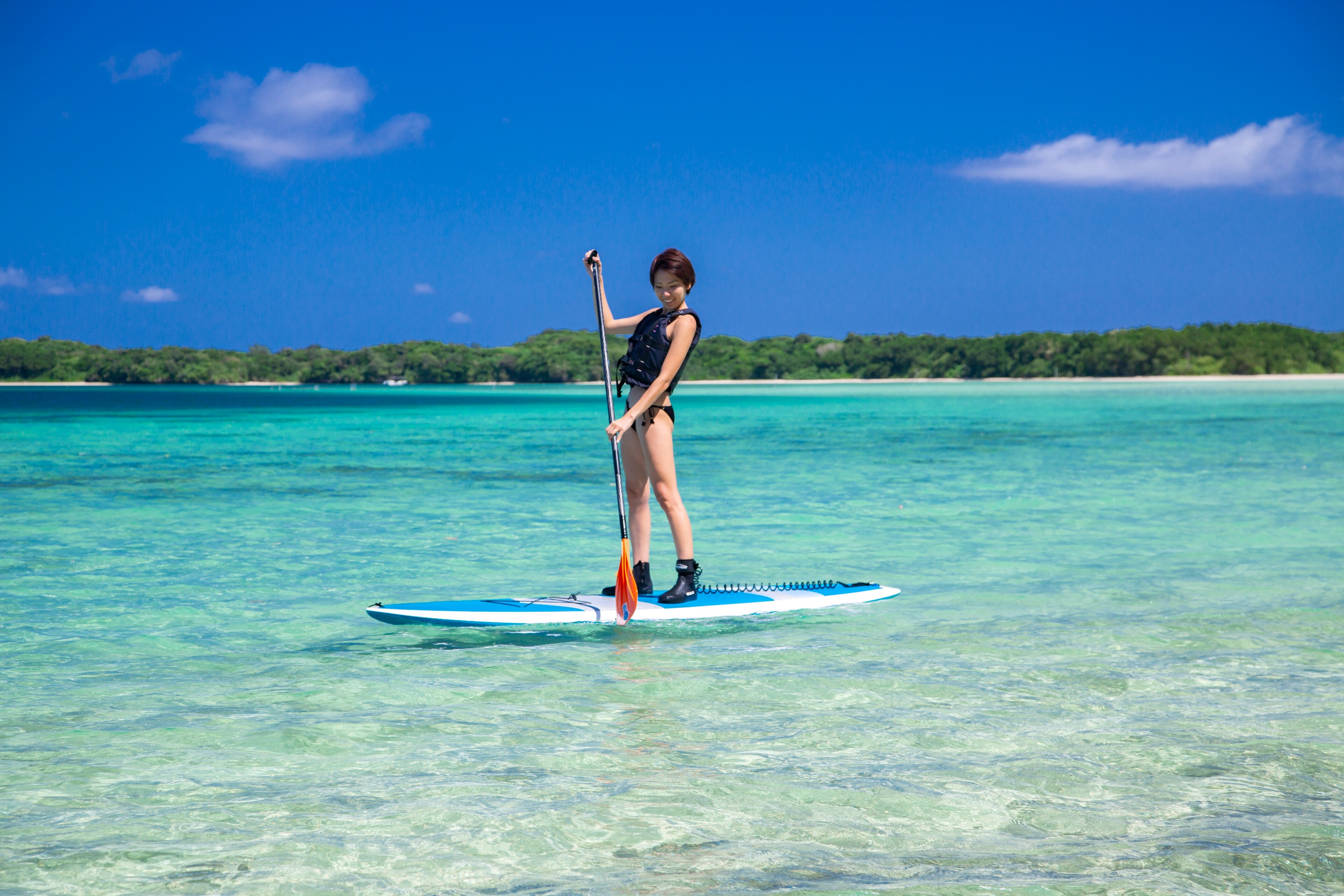 Ishigaki Island/1 day Kabira Bay SUP/Canoe & Blue Cave Snorkeling Experience (Okinawa)