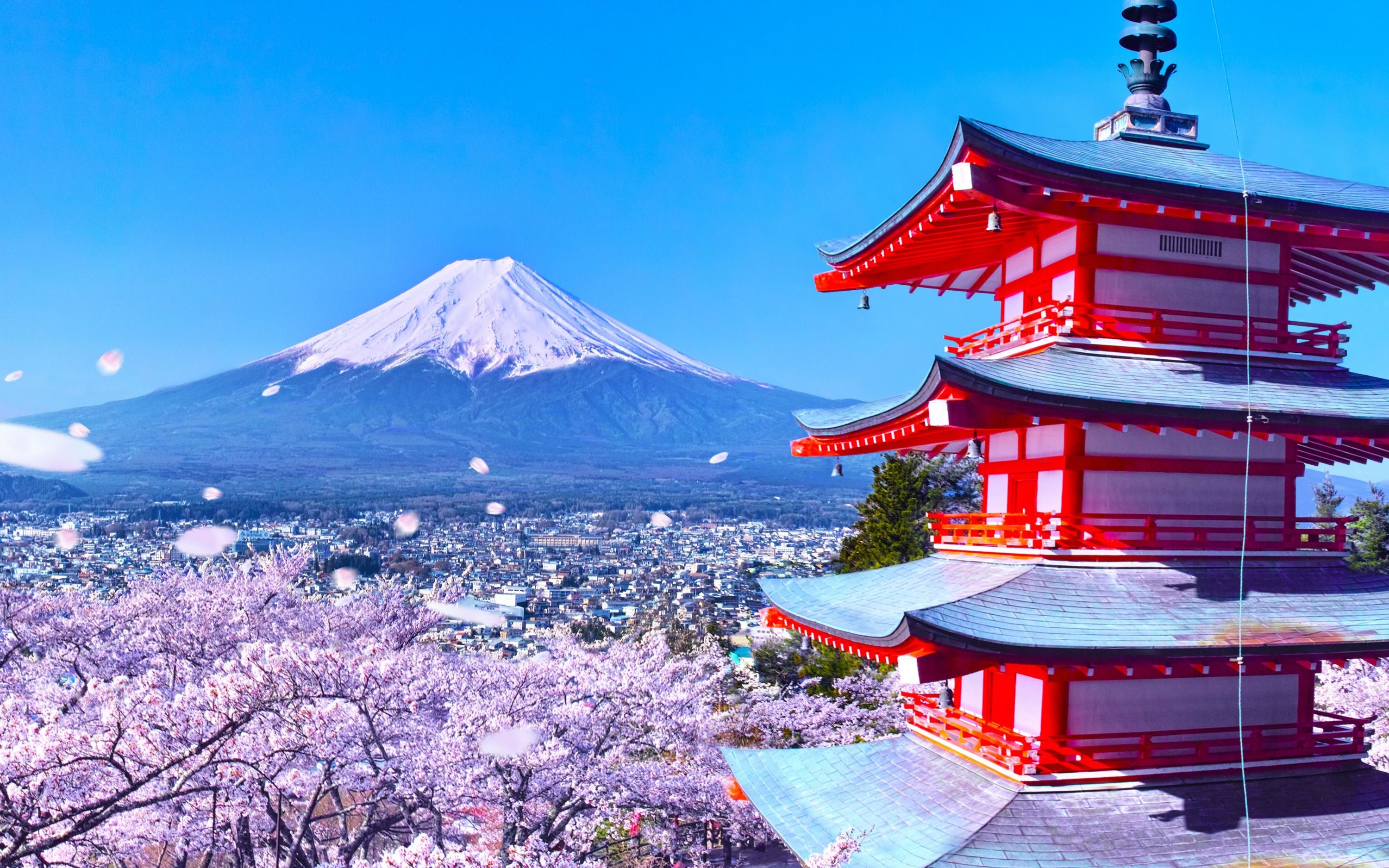 Mount Fuji Panoramic Day Trip (From Tokyo)