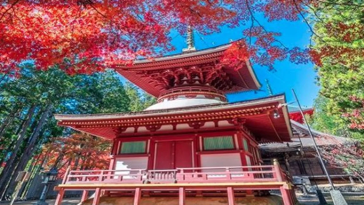 Koyasan & Wakayama One Day Tour (Includes Lunch & Departs from Osaka)