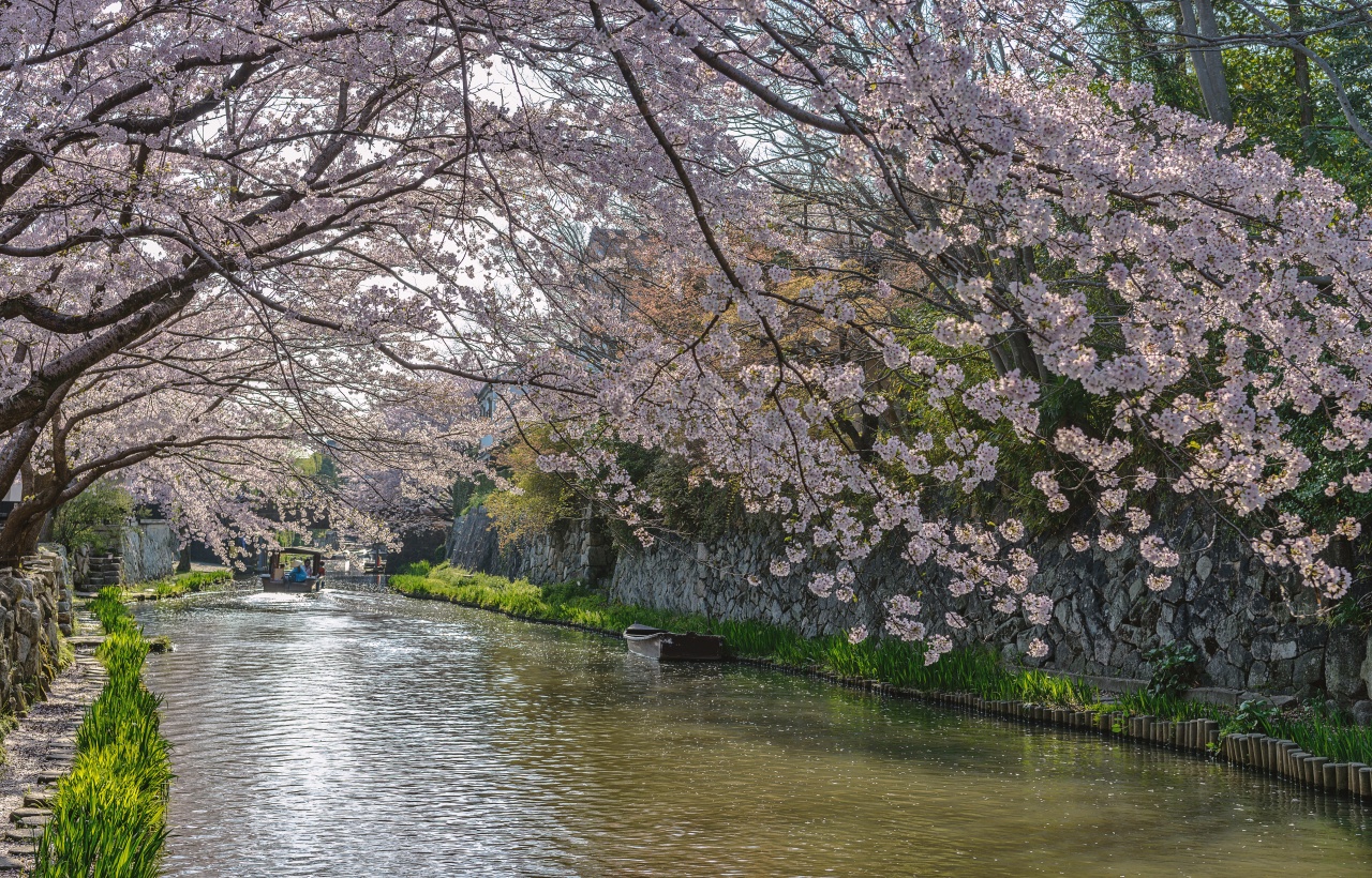 Lake Biwa Observatory, Shirahige Shrine, and Mangetsu-ji Temple Floating Temple Day Trip