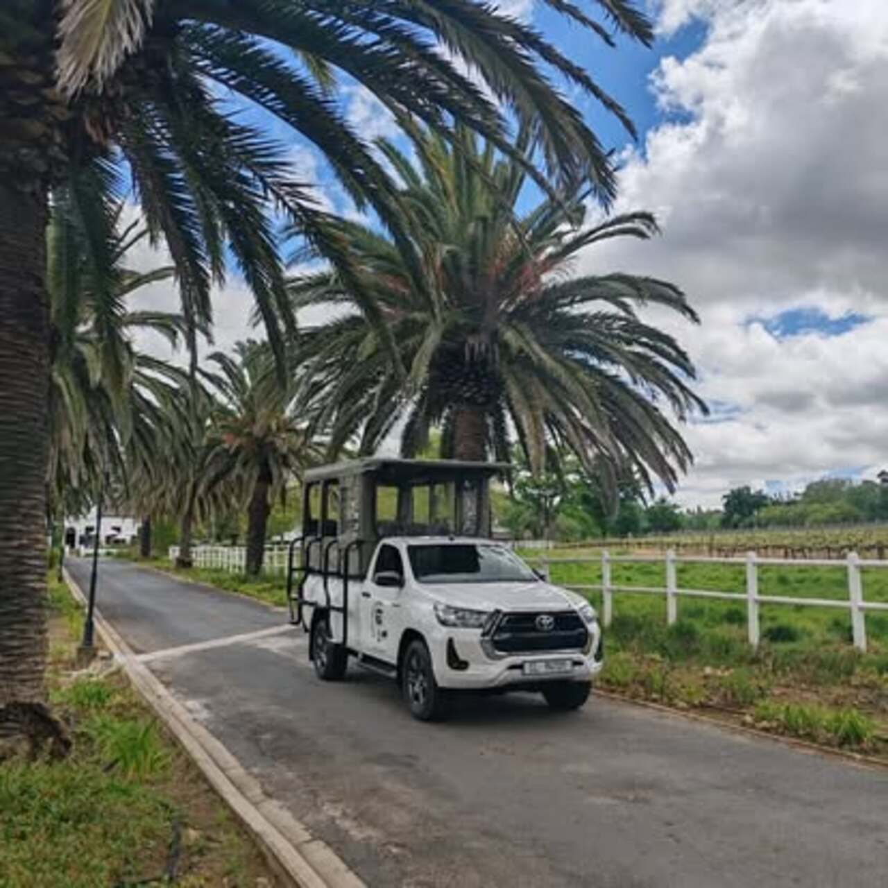 Stellenbosch Sunrise Adventure & Padel Tour